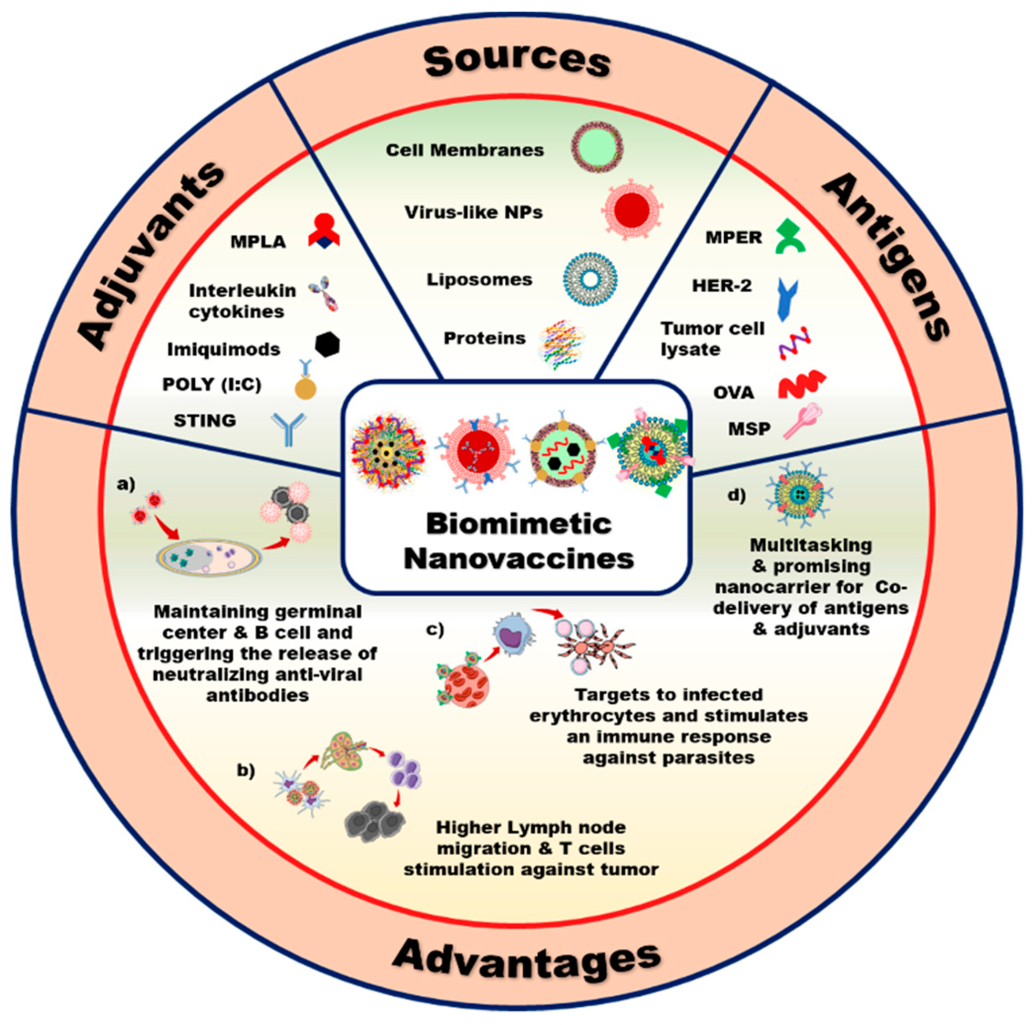 Pharmaceutics 11 00534 g001 Pharmaceutics 11 00534 g001
