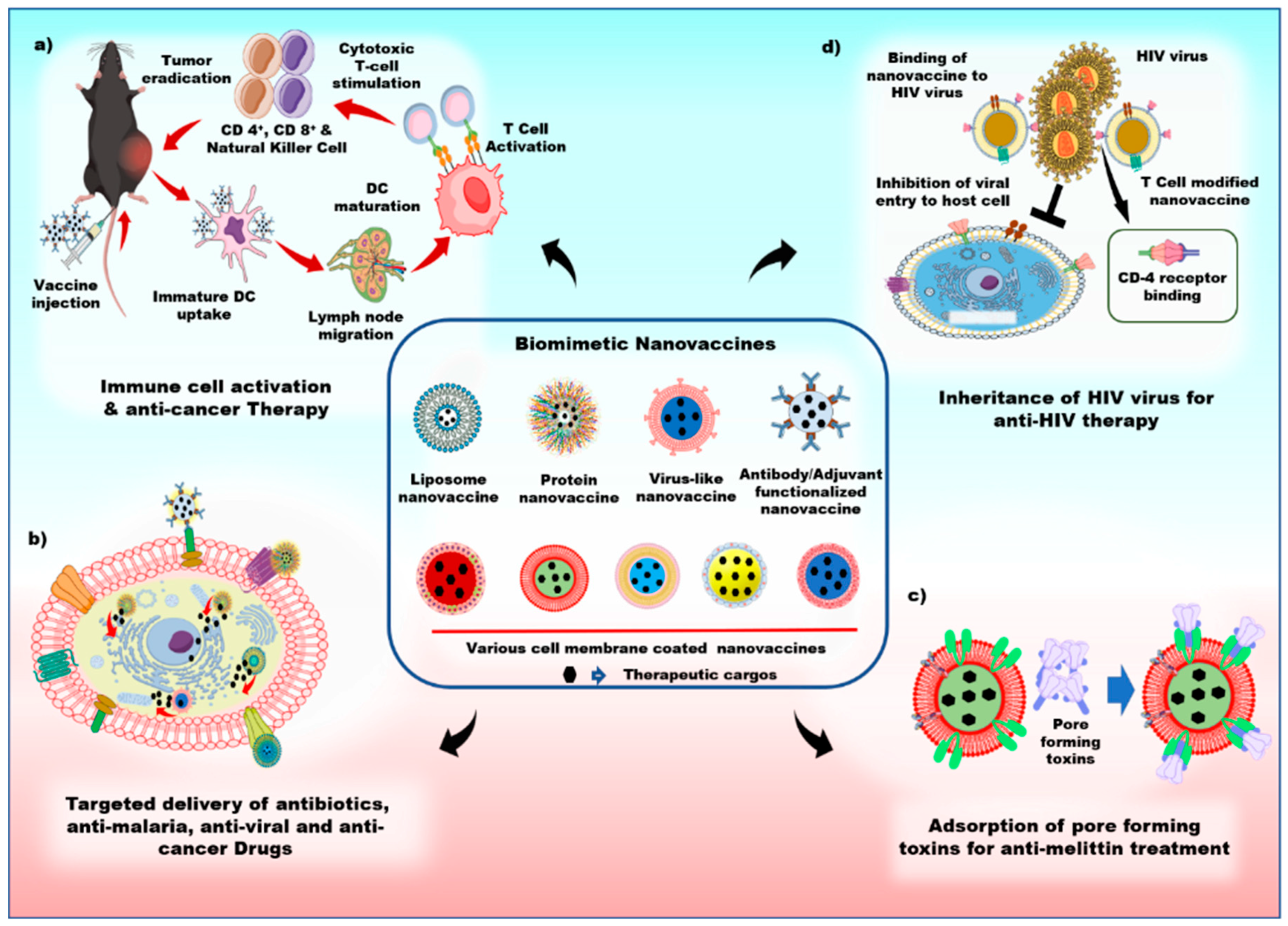 Pharmaceutics 11 00534 g004 Pharmaceutics 11 00534 g004