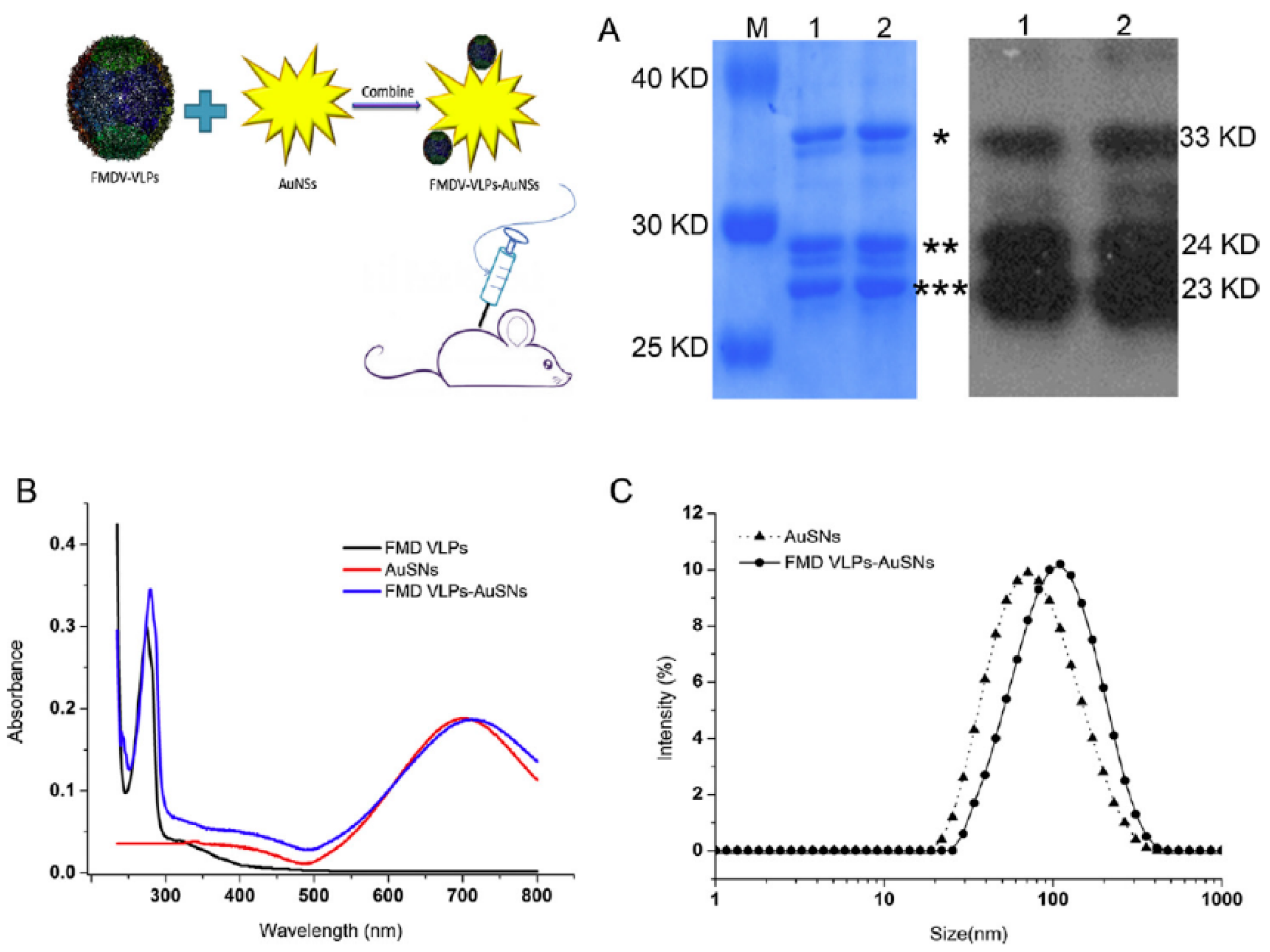 Pharmaceutics 11 00534 g009 Pharmaceutics 11 00534 g009