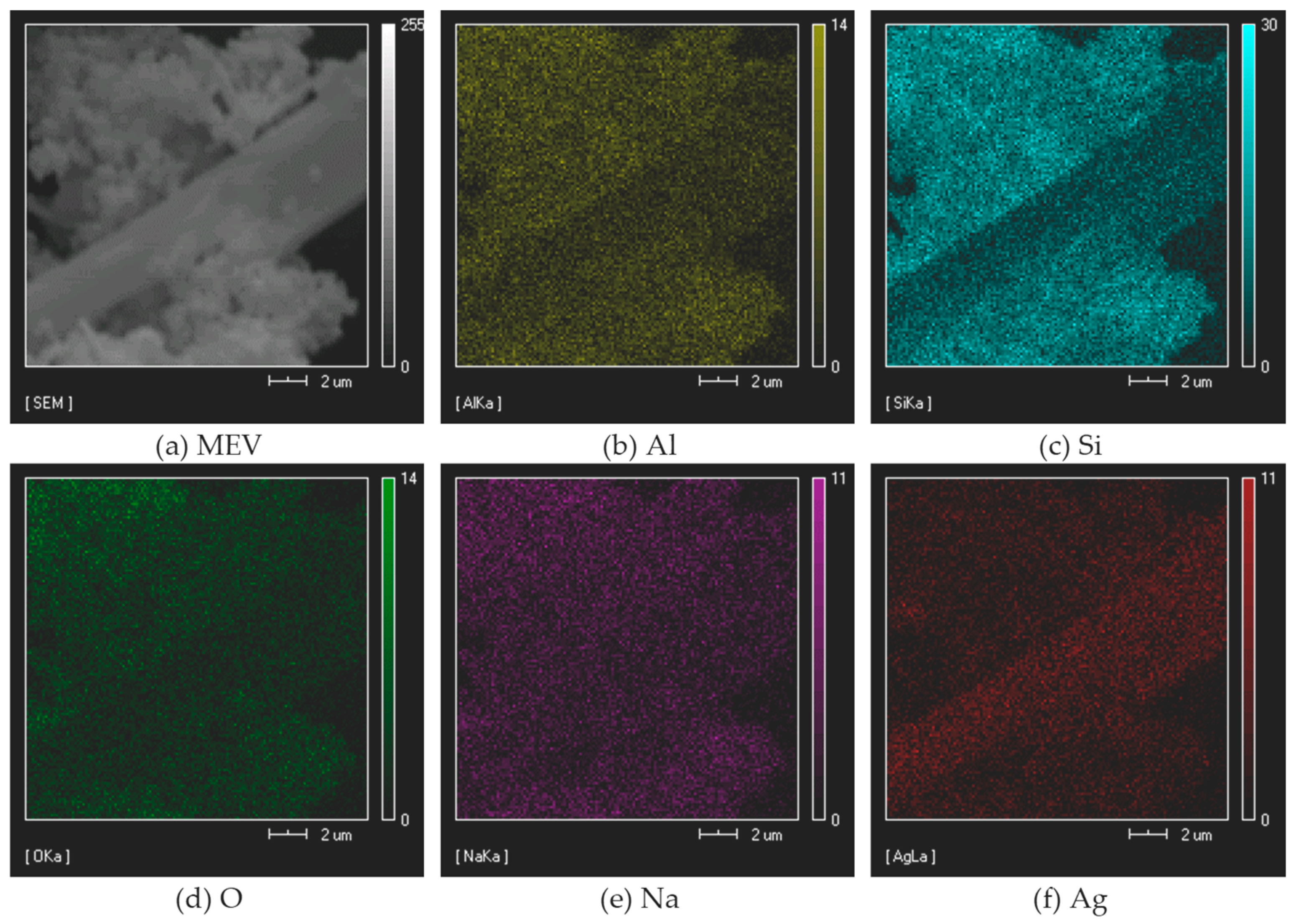 Pharmaceutics 11 00535 g001 Pharmaceutics 11 00535 g001