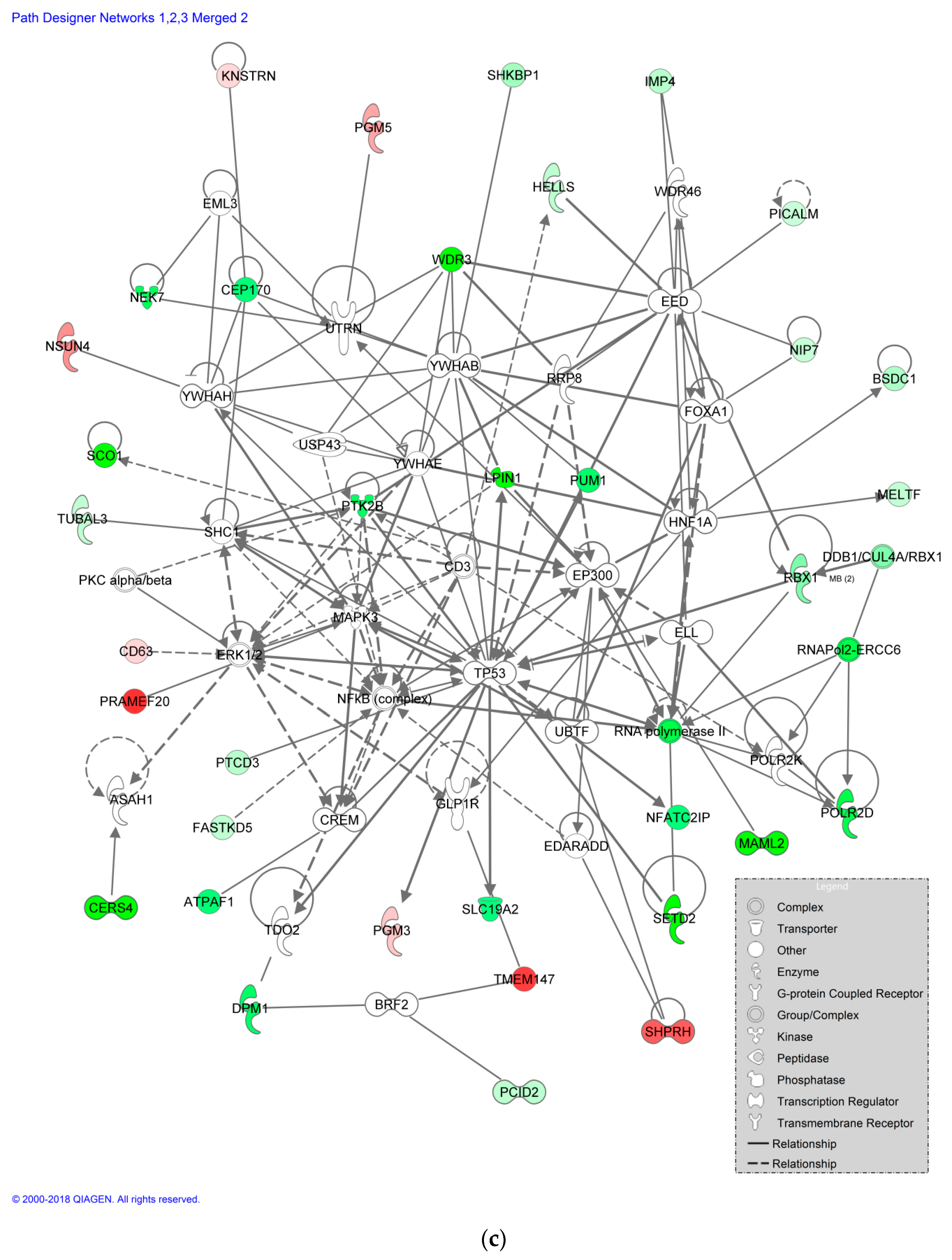 Pharmaceutics 11 00536 g005b