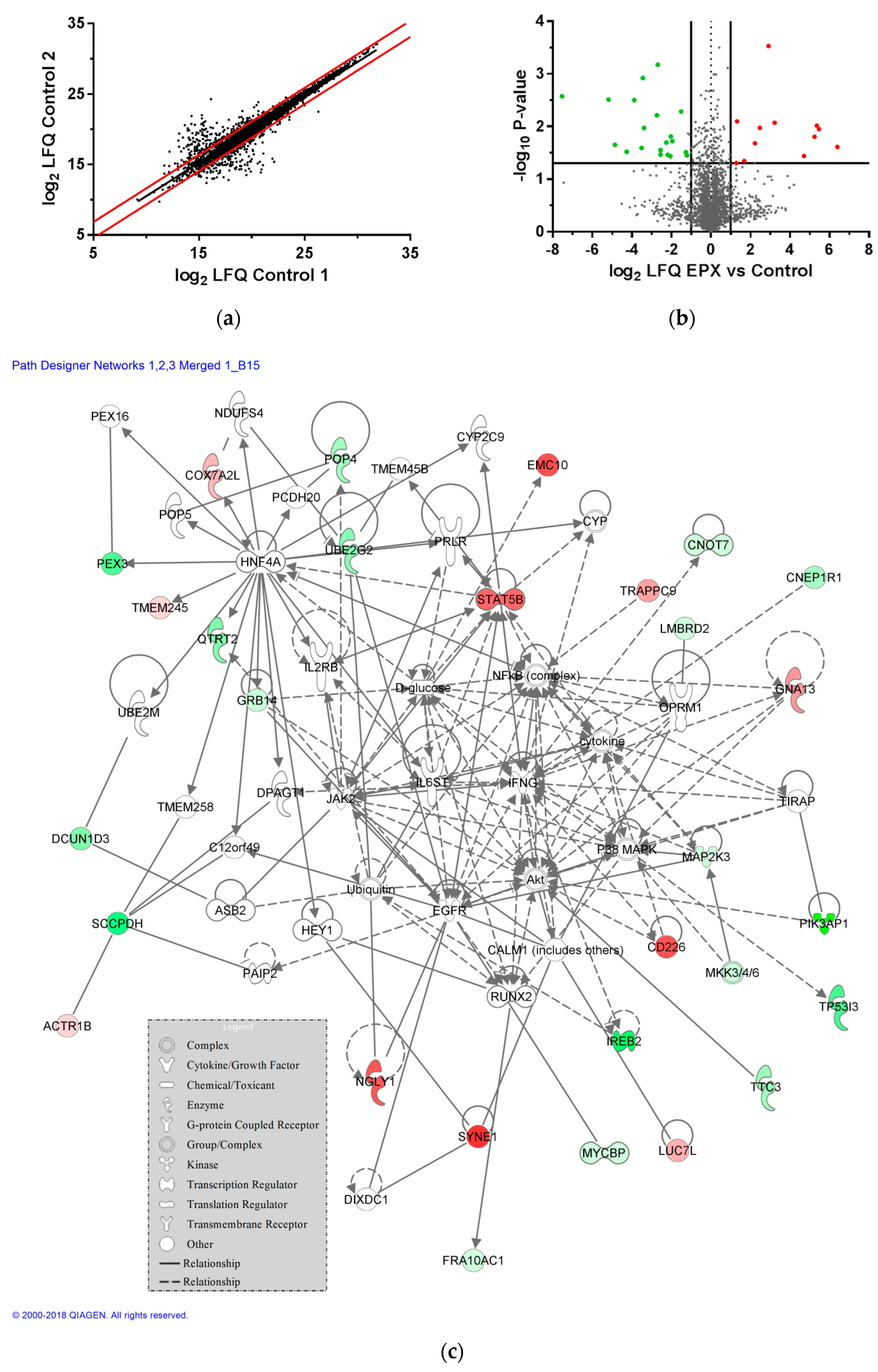 Pharmaceutics 11 00536 g006