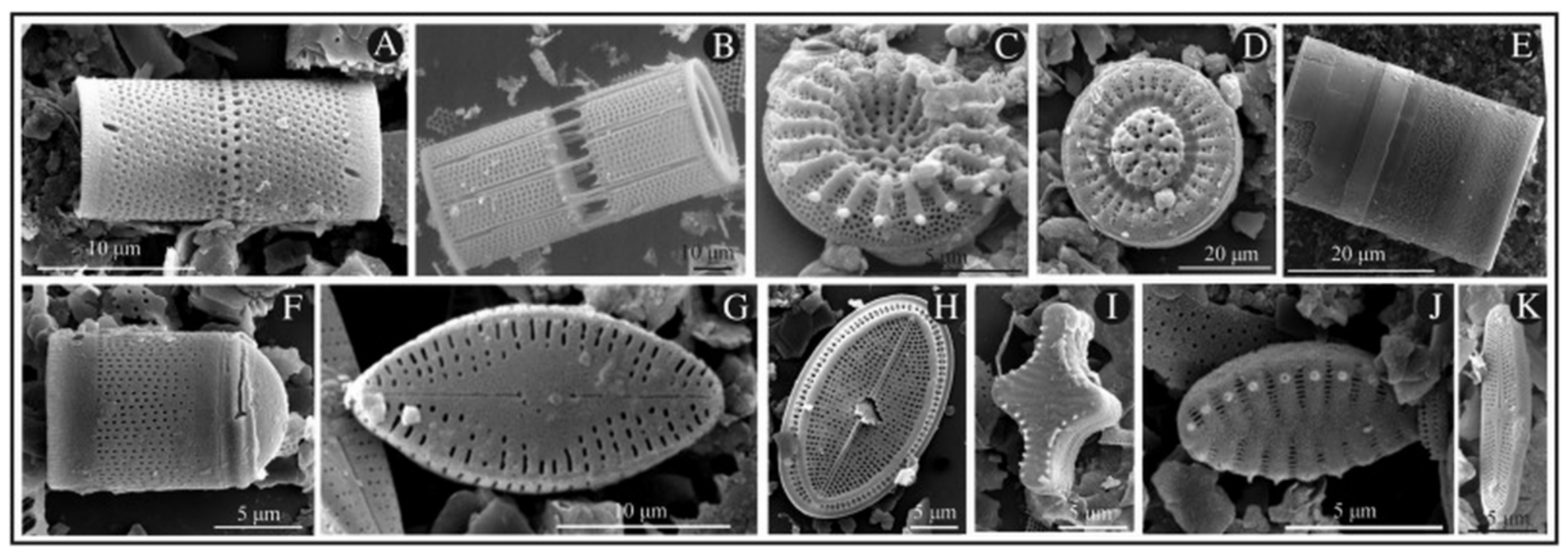 Pharmaceutics 11 00537 g001 Pharmaceutics 11 00537 g001