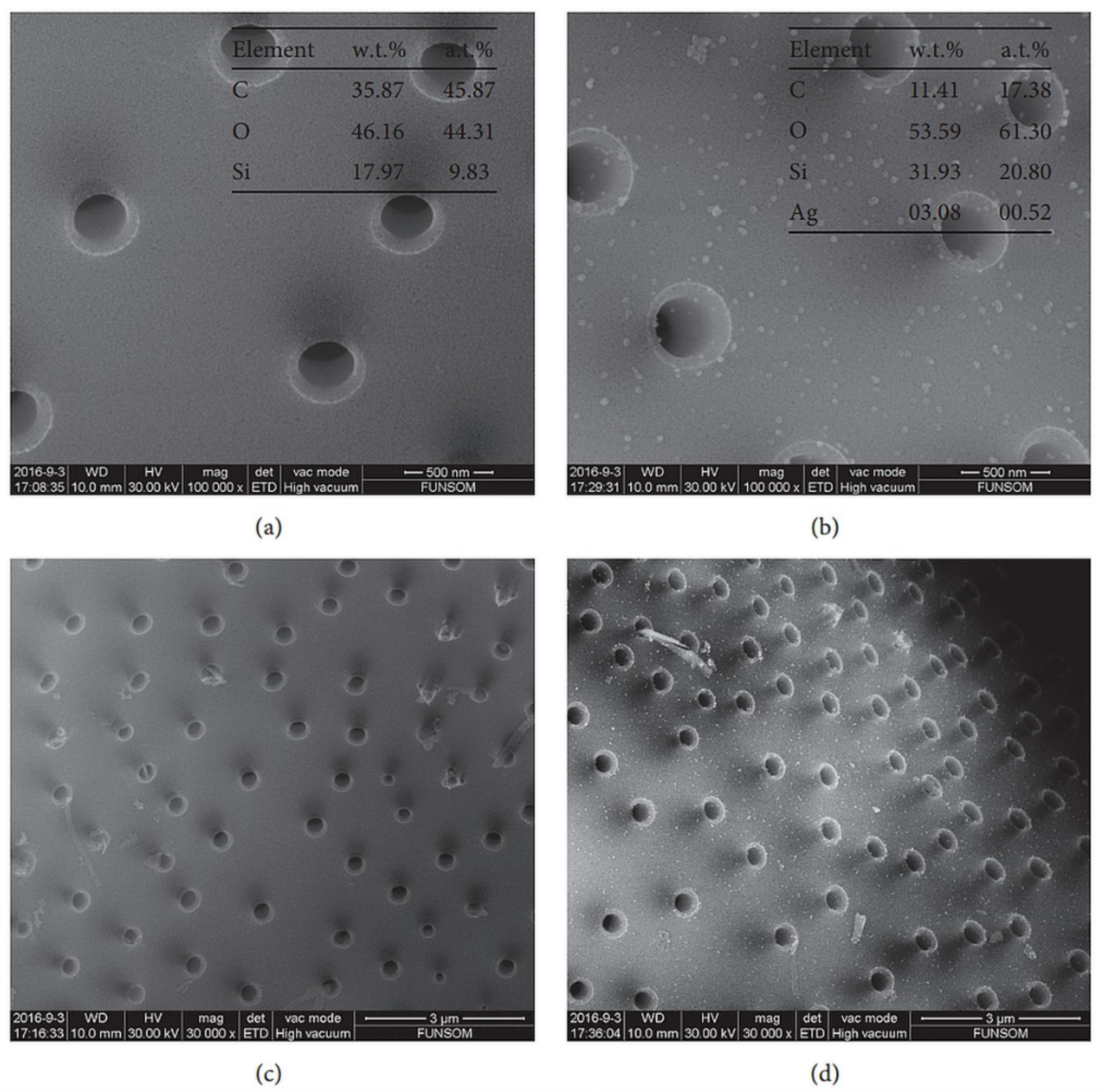 Pharmaceutics 11 00537 g004 Pharmaceutics 11 00537 g004