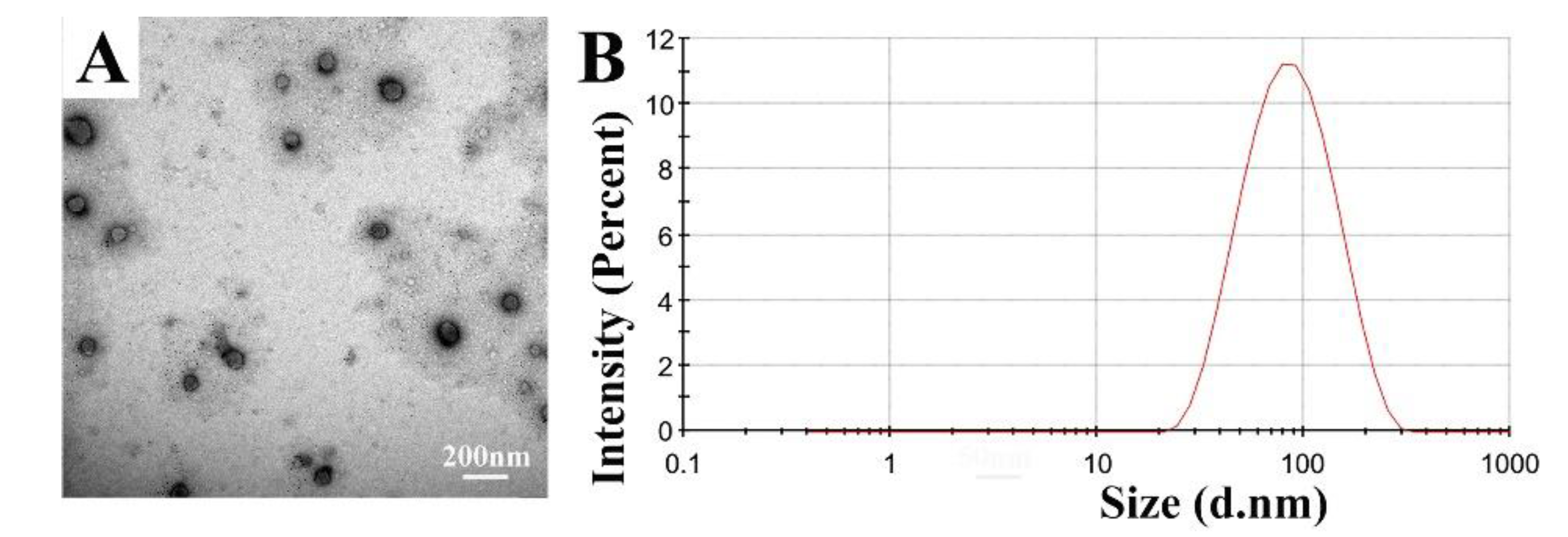 Pharmaceutics 11 00539 g002 Pharmaceutics 11 00539 g002
