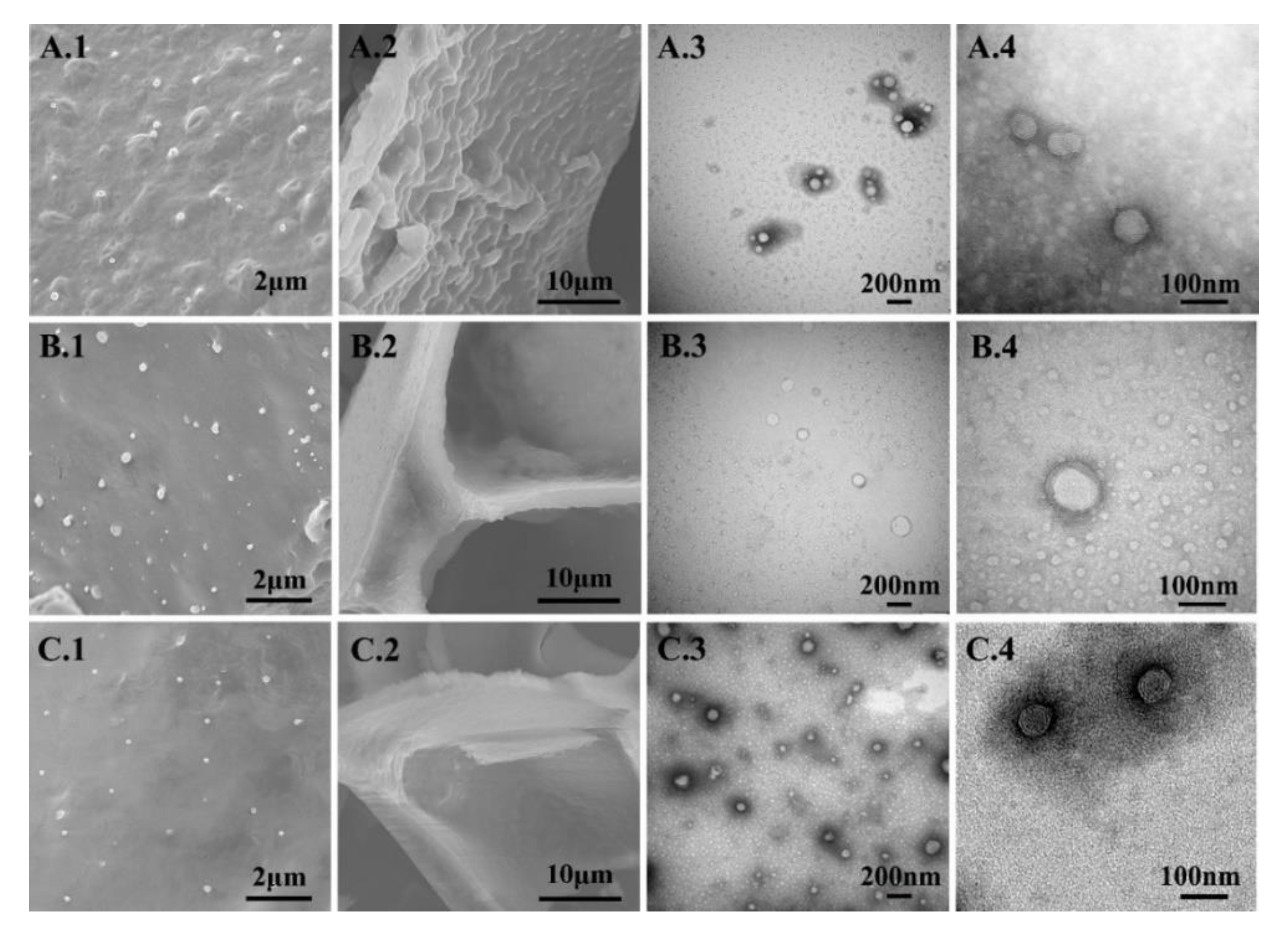 Pharmaceutics 11 00539 g004 Pharmaceutics 11 00539 g004