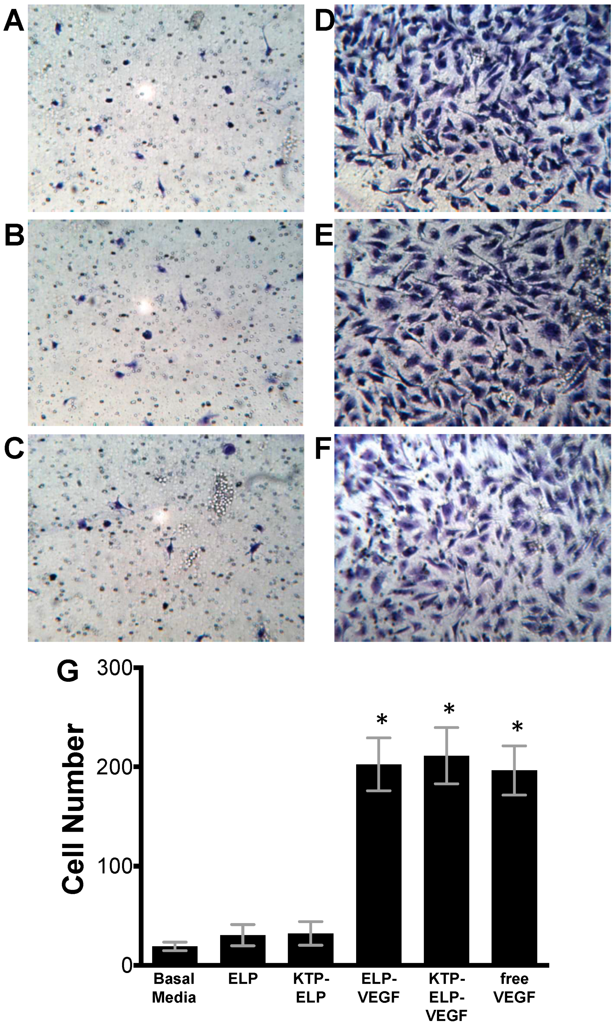 Pharmaceutics 11 00542 g004 Pharmaceutics 11 00542 g004