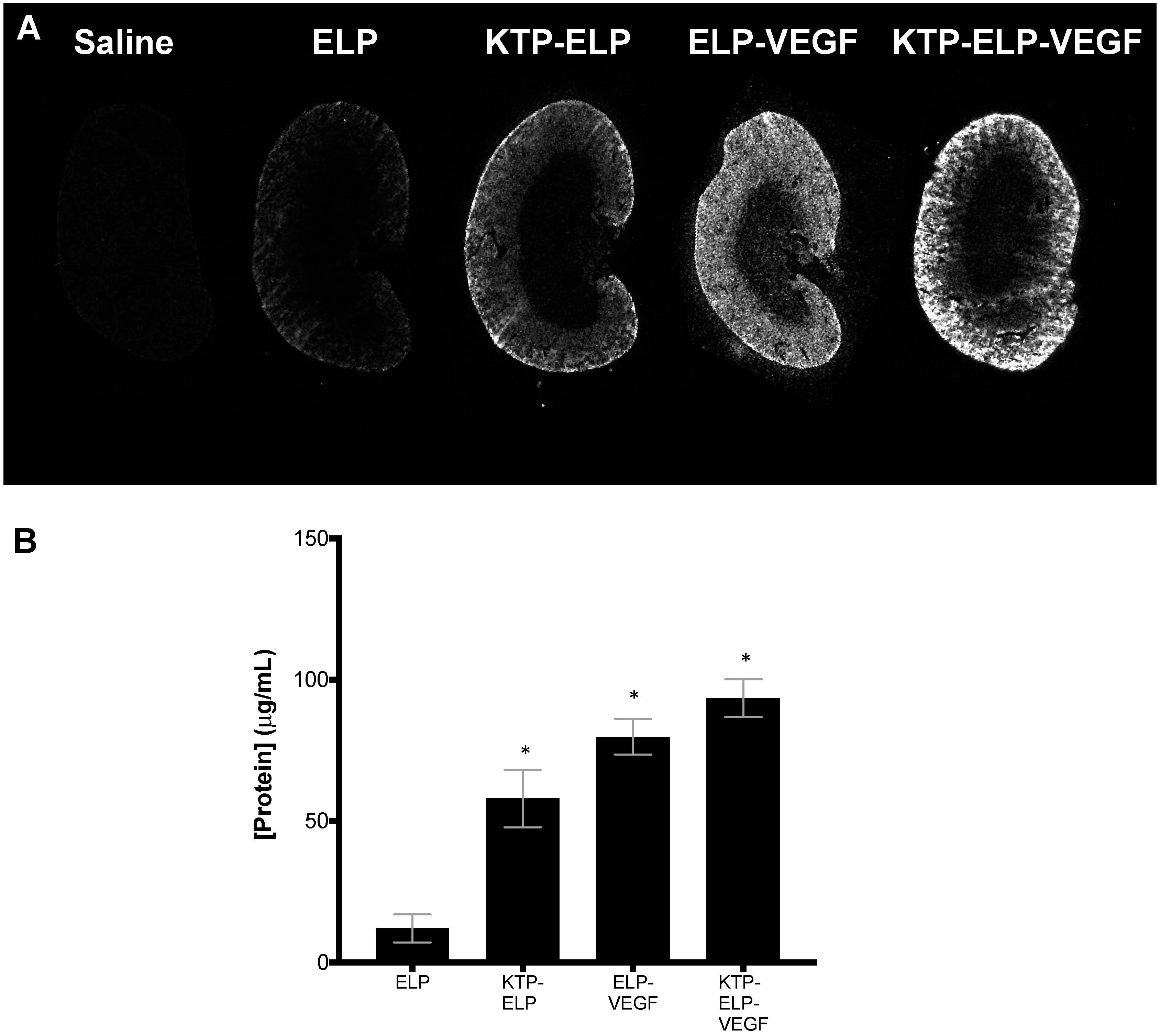 Pharmaceutics 11 00542 g008 Pharmaceutics 11 00542 g008