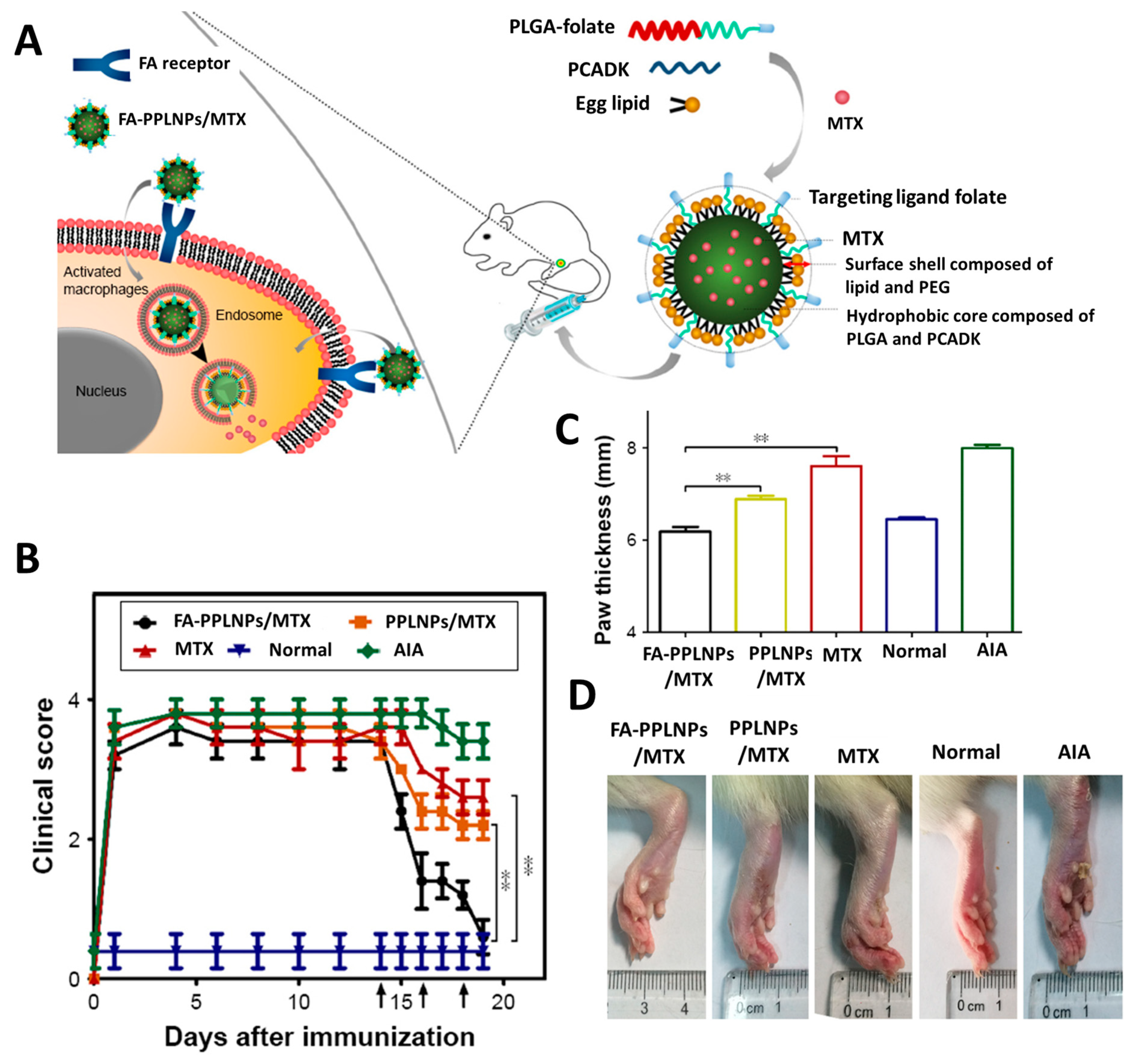 Pharmaceutics 11 00543 g003
