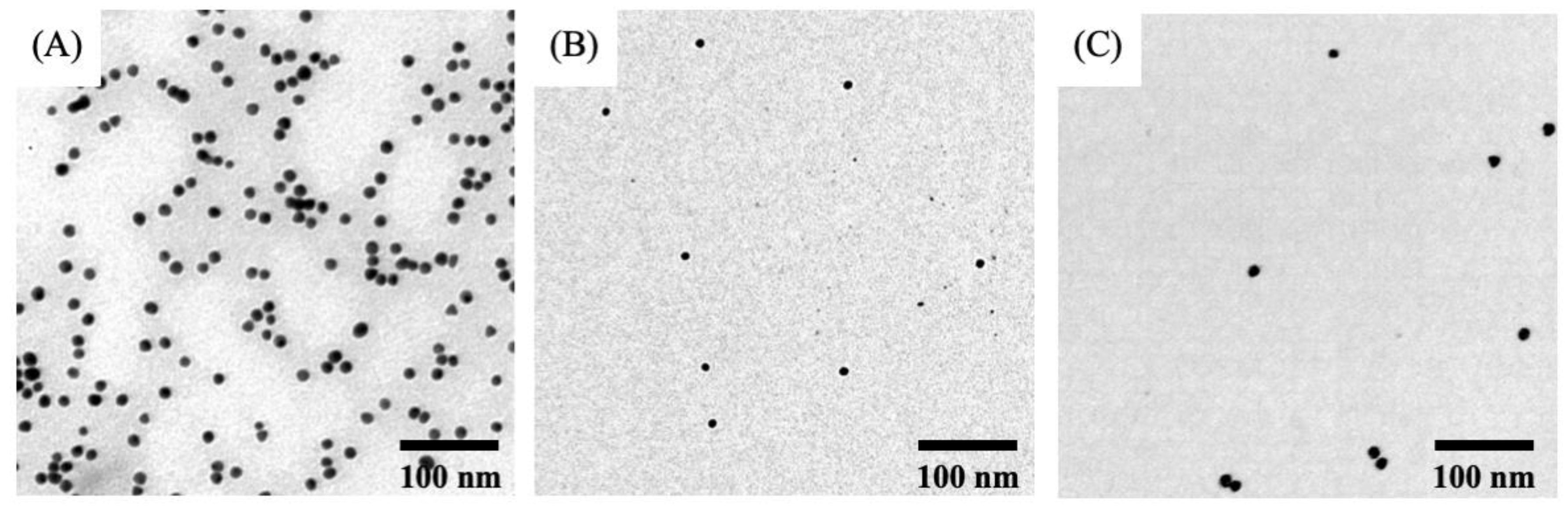 Pharmaceutics 11 00551 g001