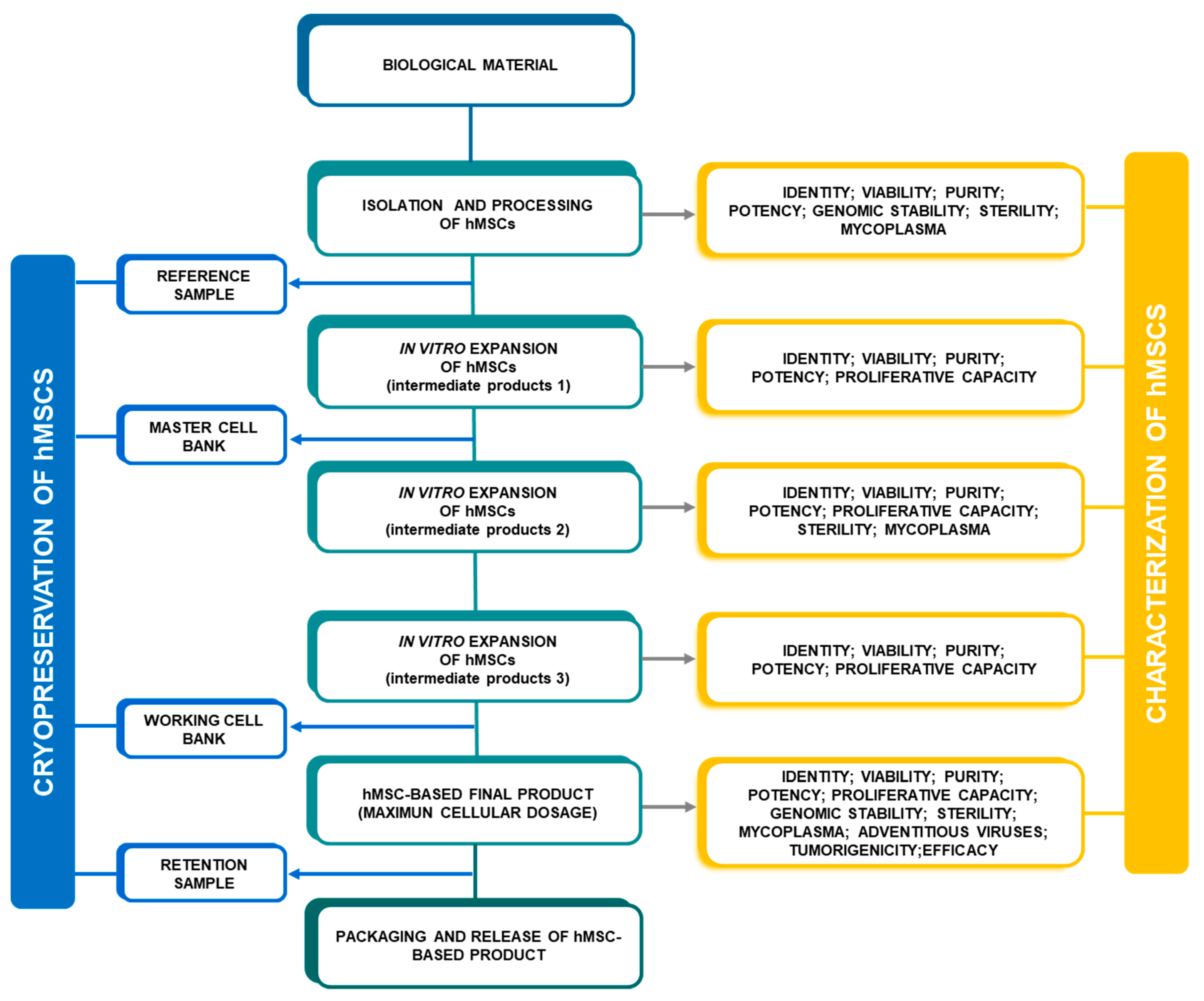 Pharmaceutics 11 00552 g002