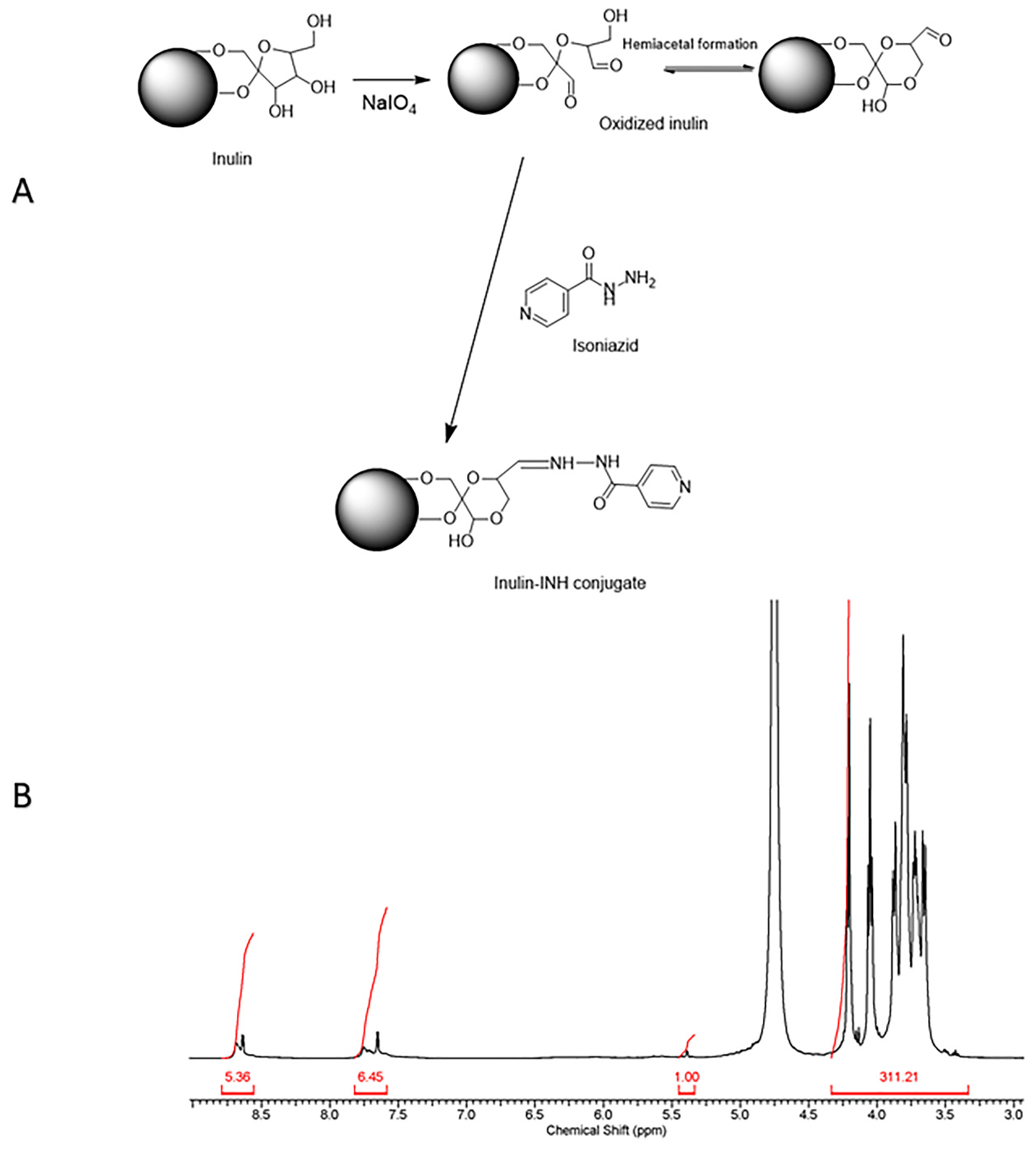 Pharmaceutics 11 00555 g001