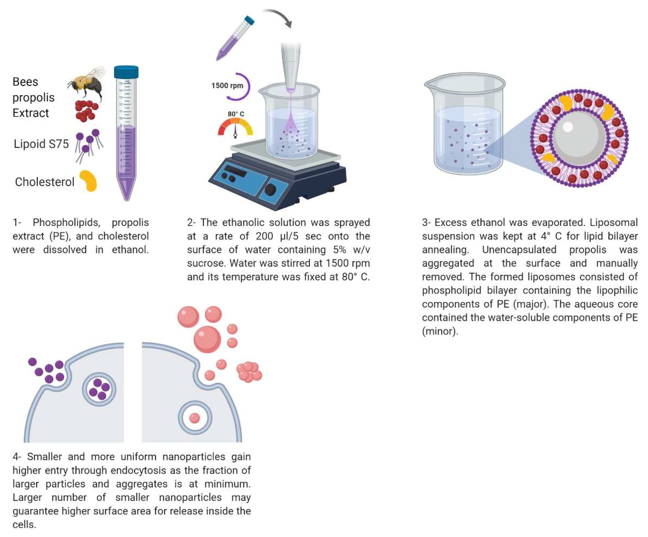 Pharmaceutics 11 00558 g001 Pharmaceutics 11 00558 g001