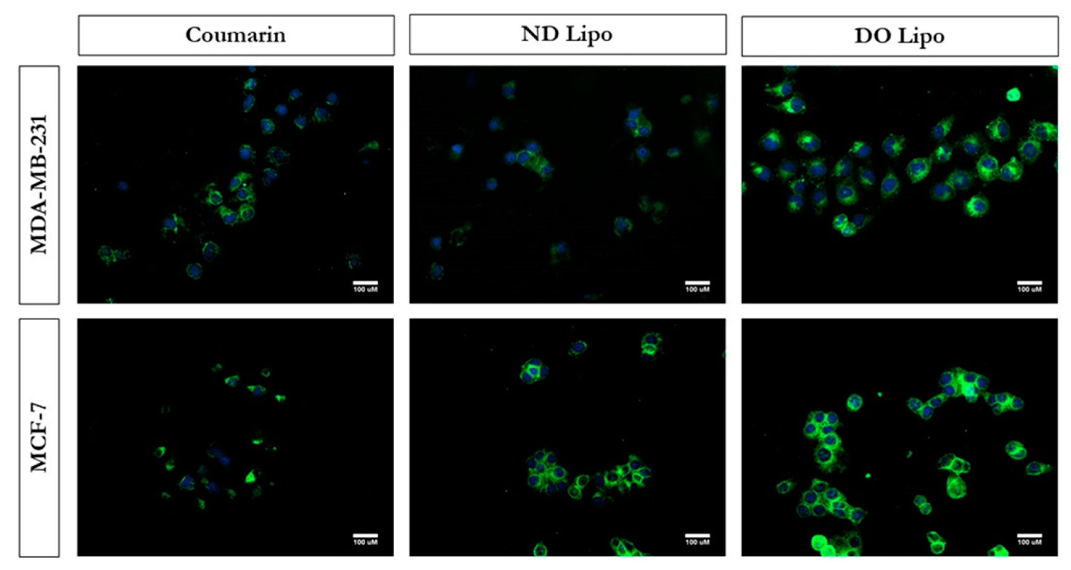 Pharmaceutics 11 00559 g004