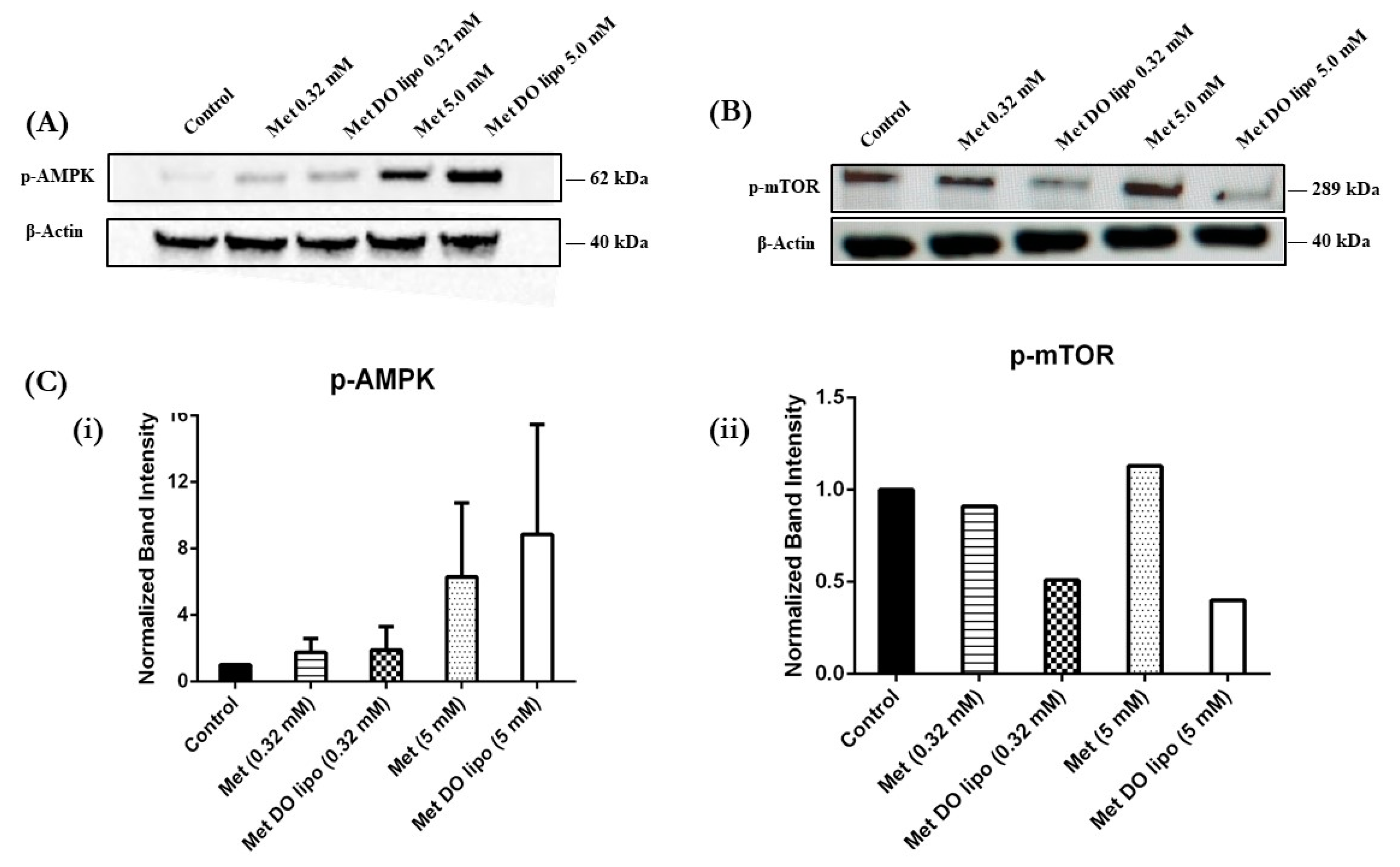 Pharmaceutics 11 00559 g009