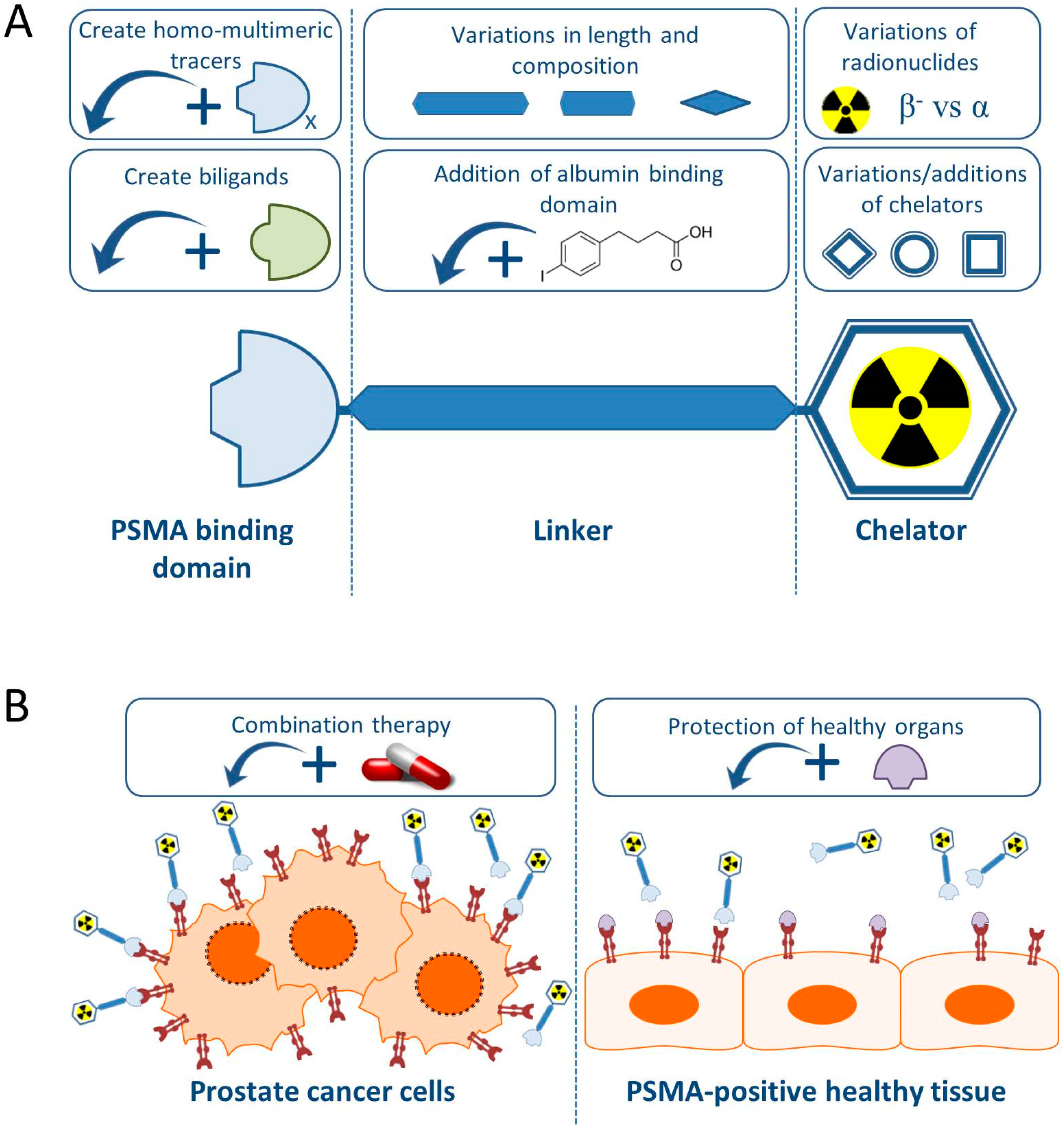 Pharmaceutics 11 00560 g001
