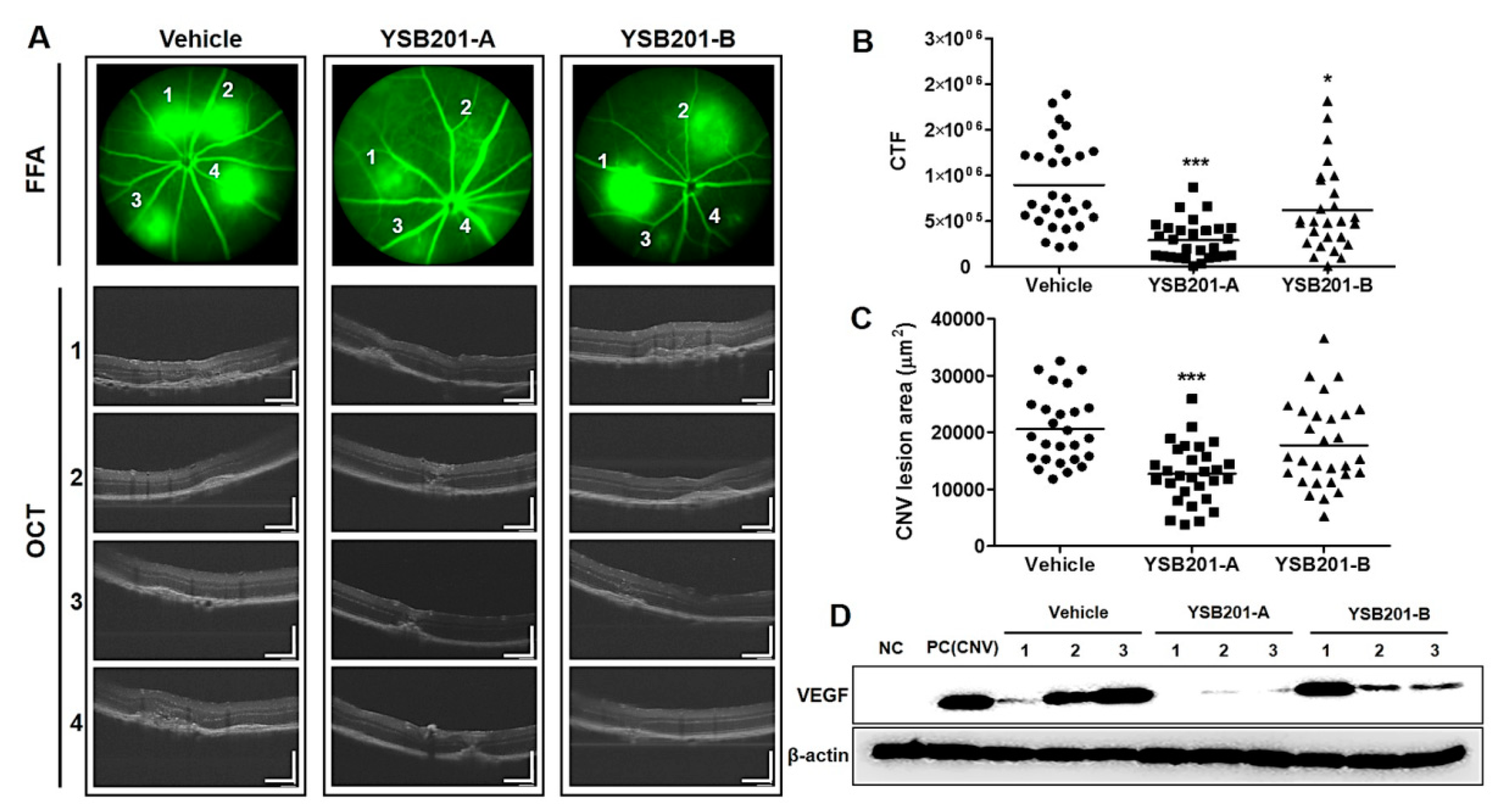 Pharmaceutics 11 00561 g008