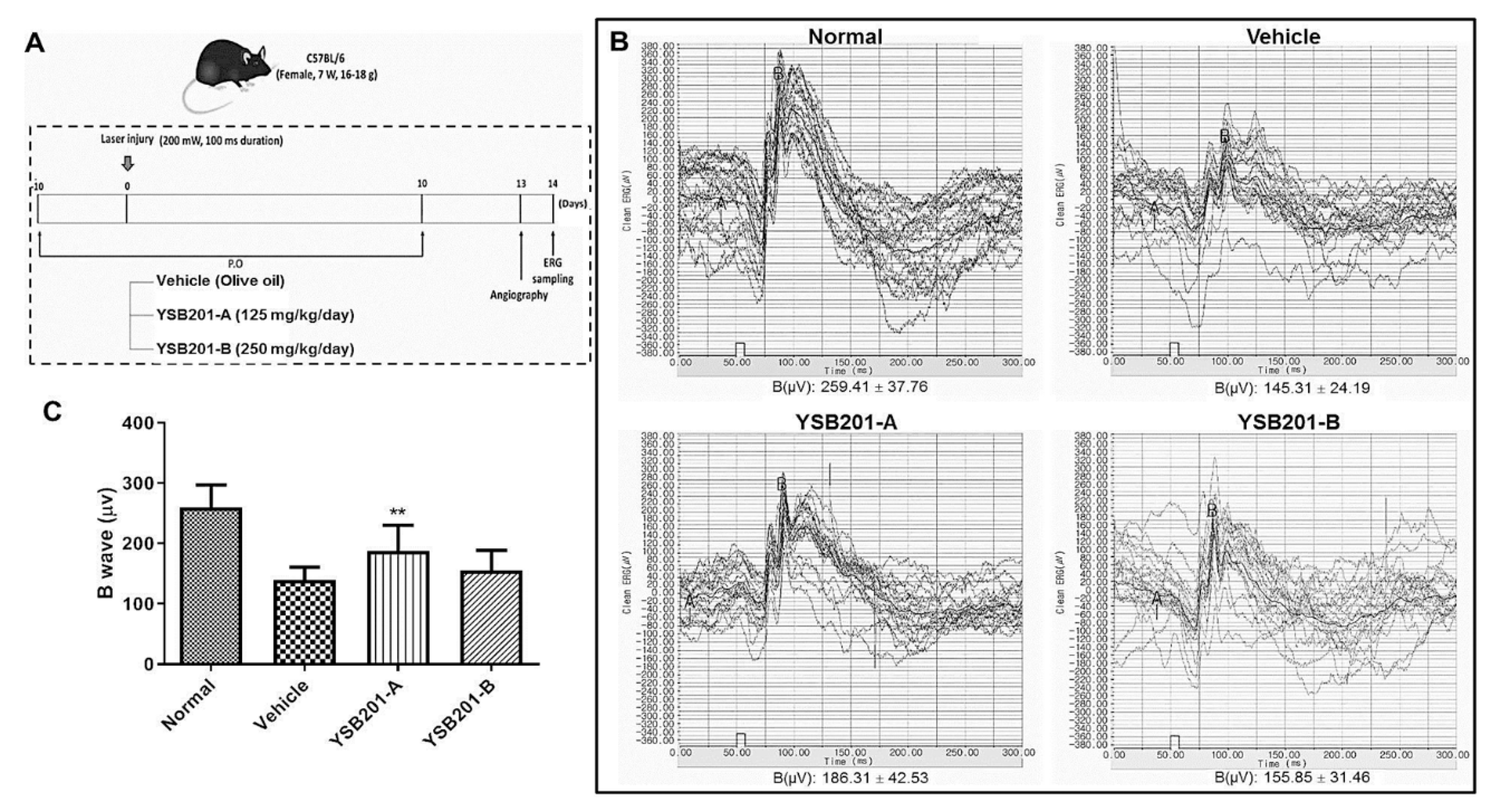 Pharmaceutics 11 00561 g009
