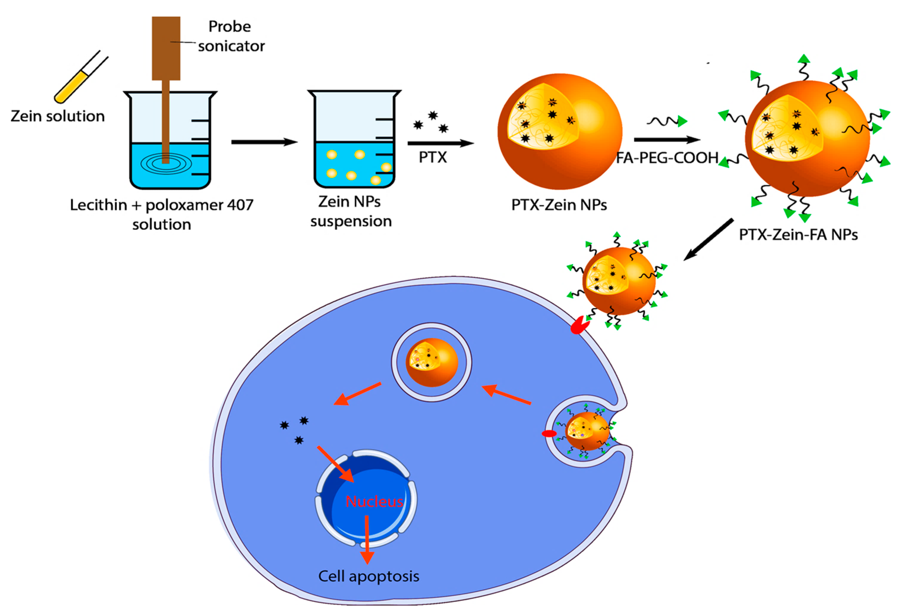 Pharmaceutics 11 00562 g001 550
