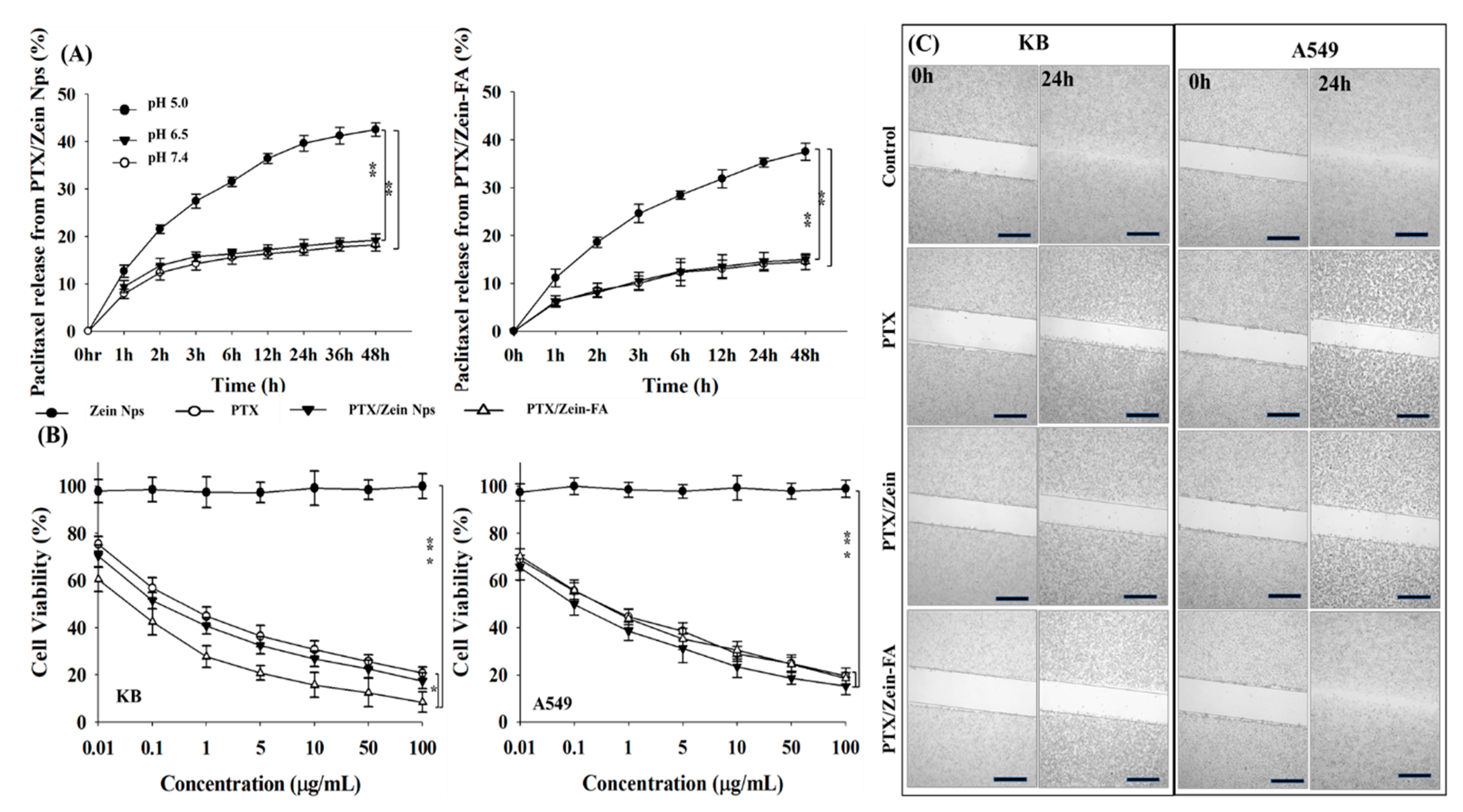 Pharmaceutics 11 00562 g003 550