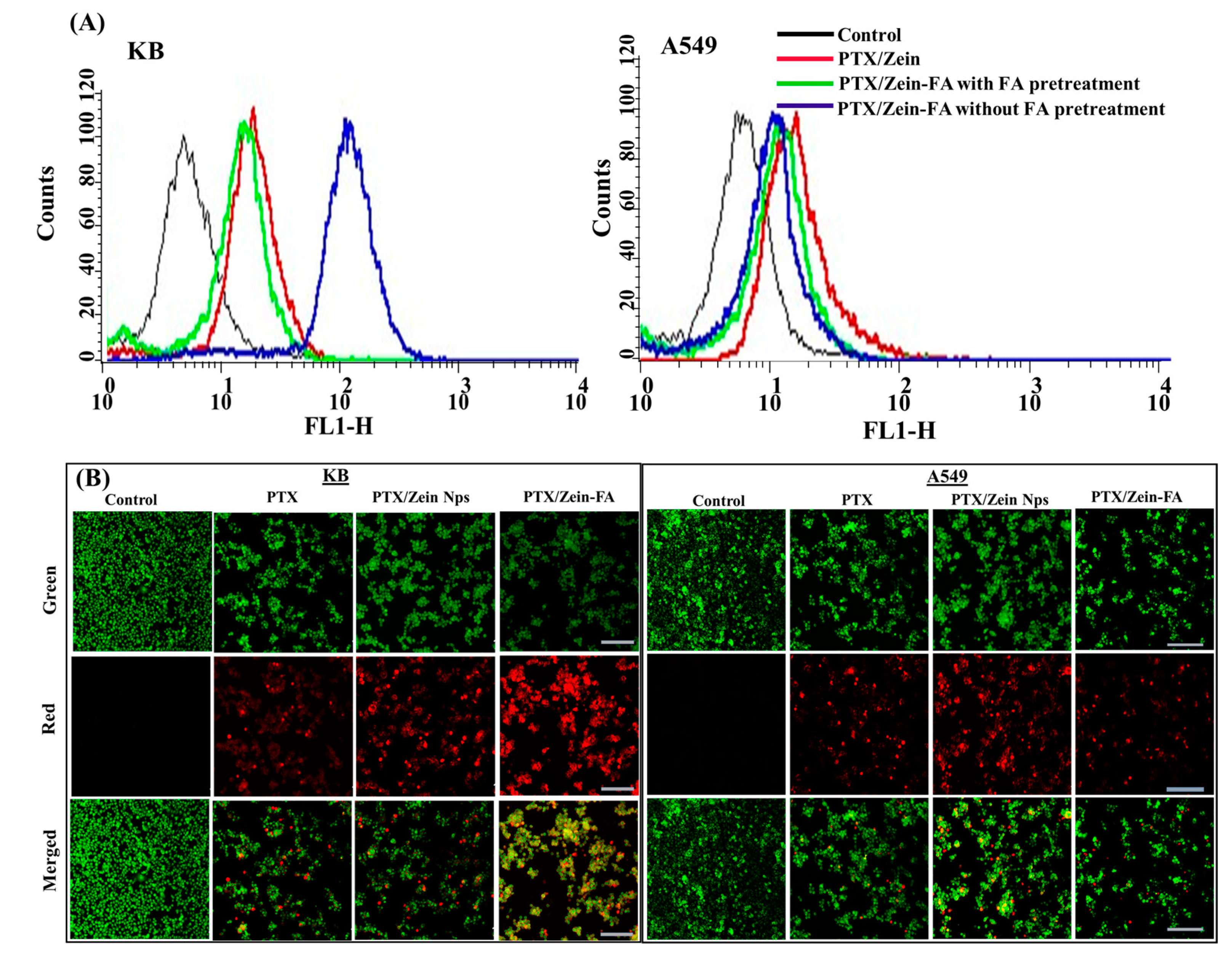 Pharmaceutics 11 00562 g004 550