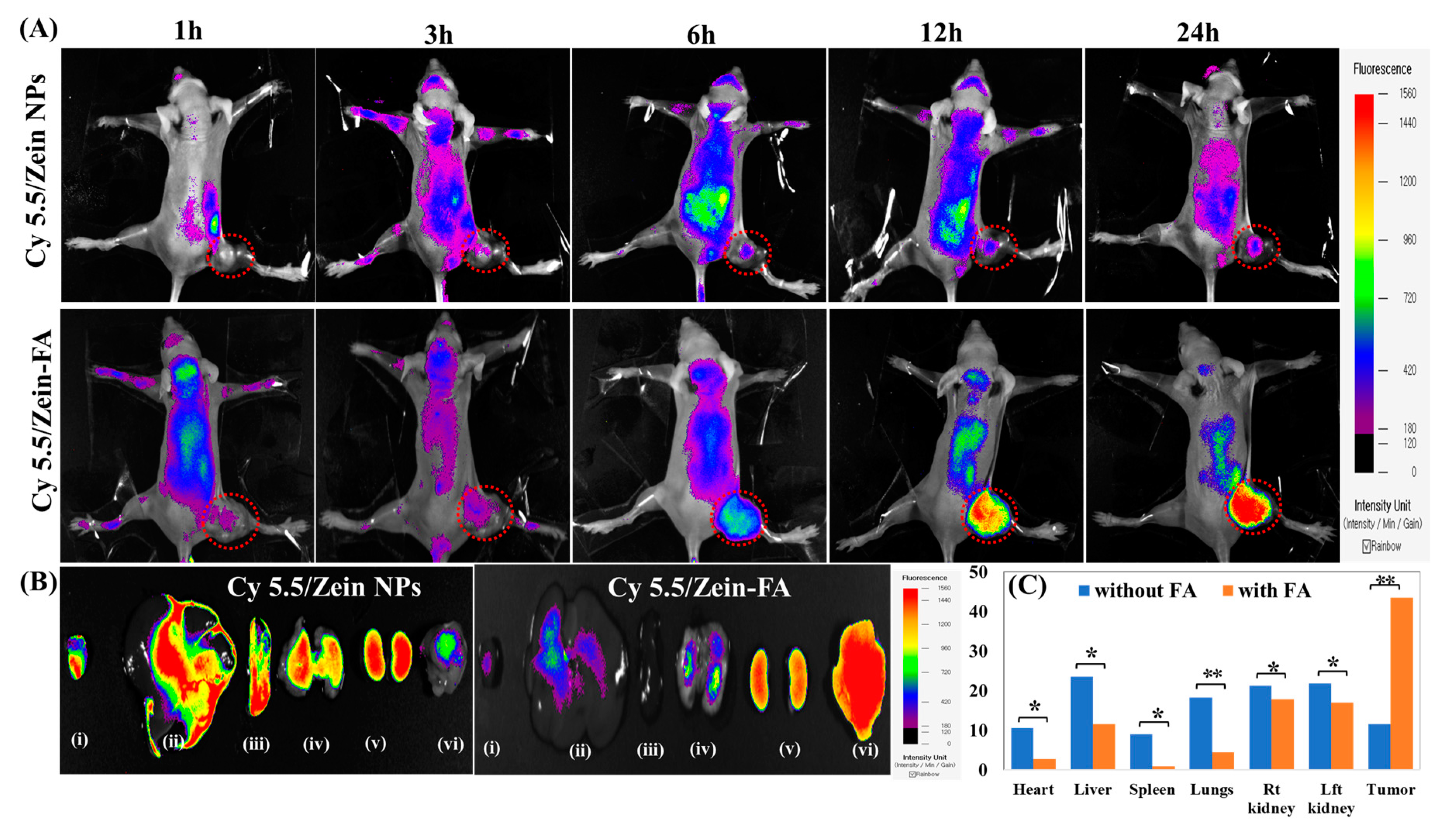 Pharmaceutics 11 00562 g006 550