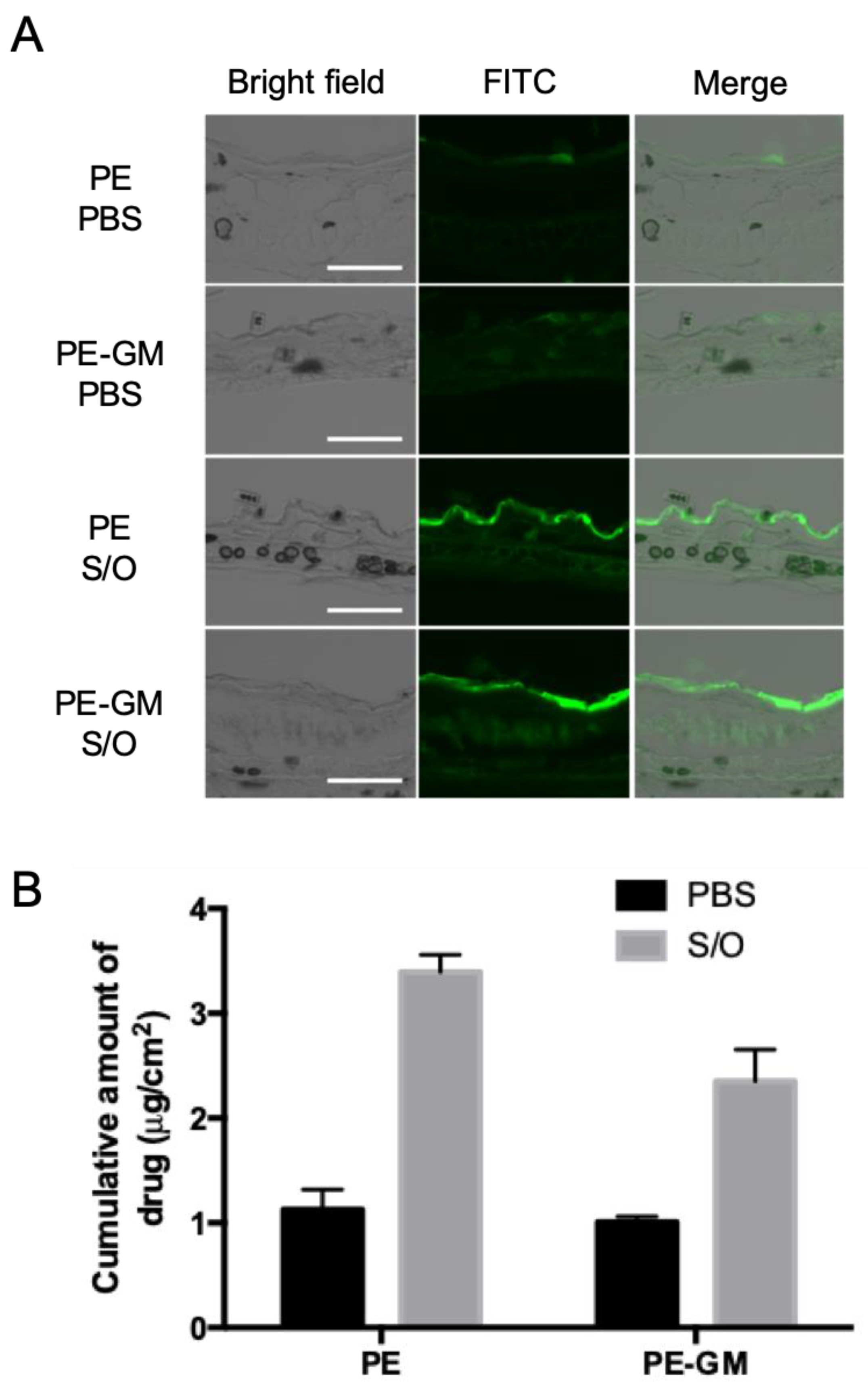Pharmaceutics 11 00563 g003 Pharmaceutics 11 00563 g003