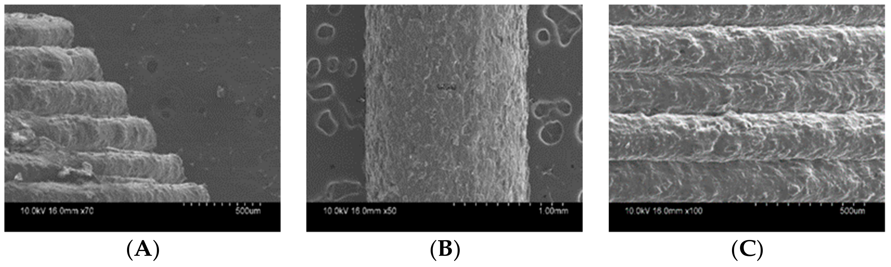 Pharmaceutics 11 00564 g004 Pharmaceutics 11 00564 g004