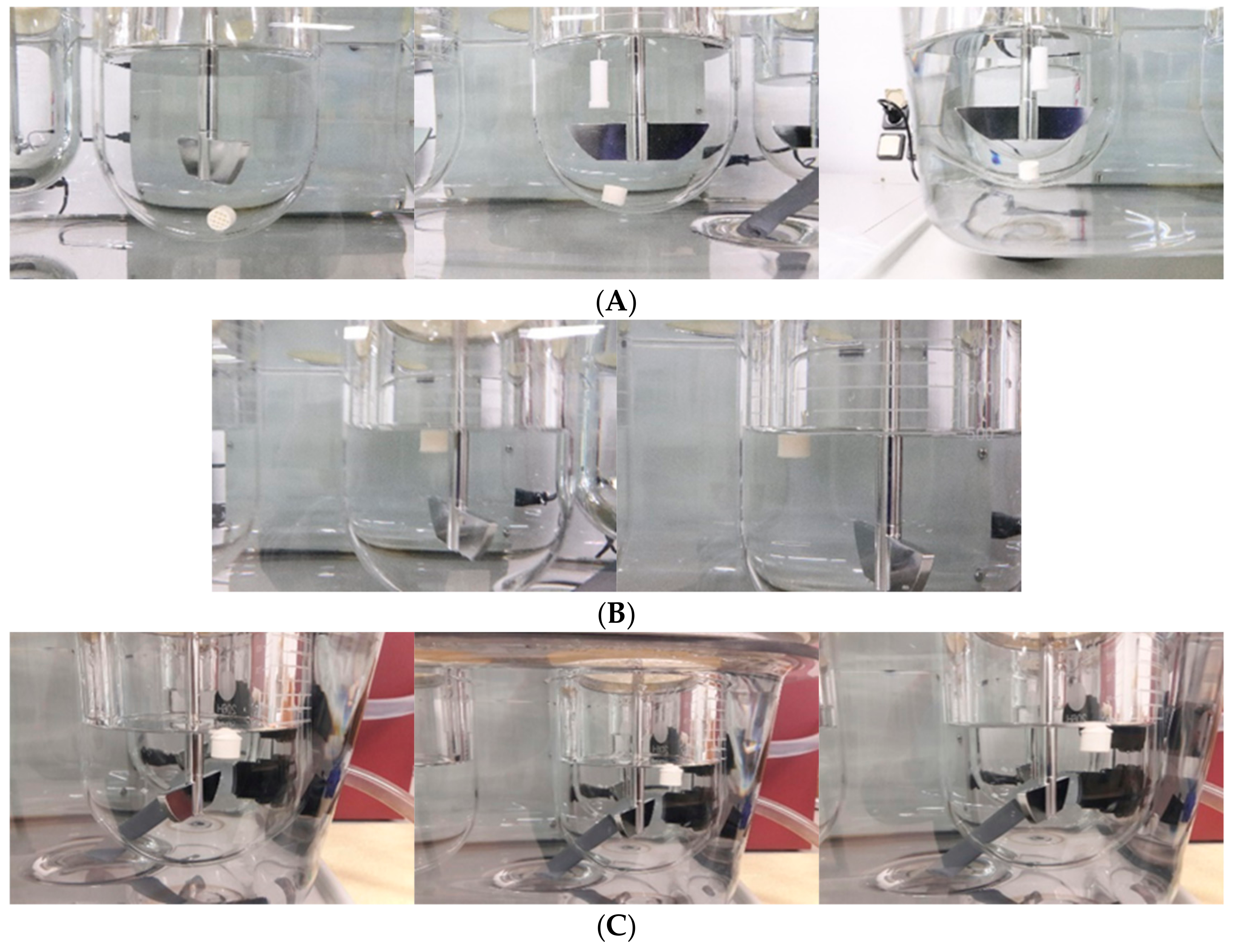 Pharmaceutics 11 00564 g005 Pharmaceutics 11 00564 g005