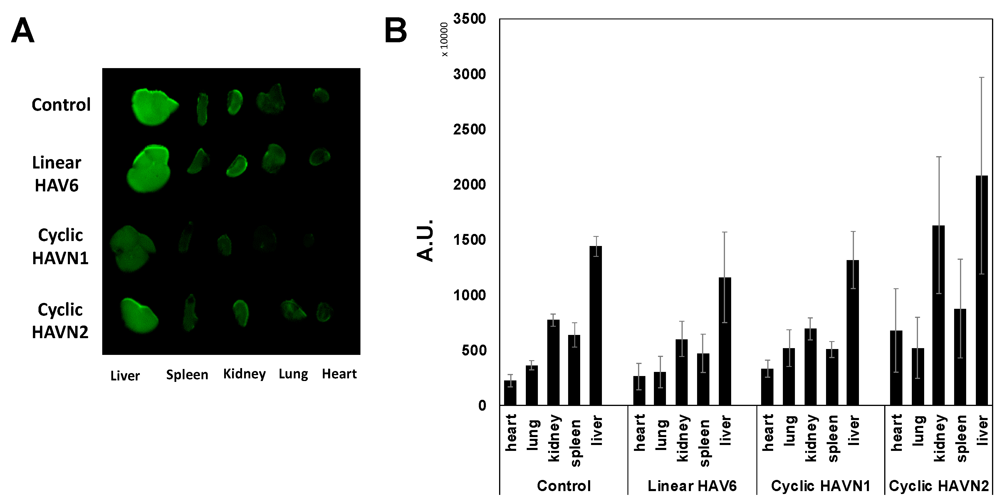 Pharmaceutics 11 00568 g006