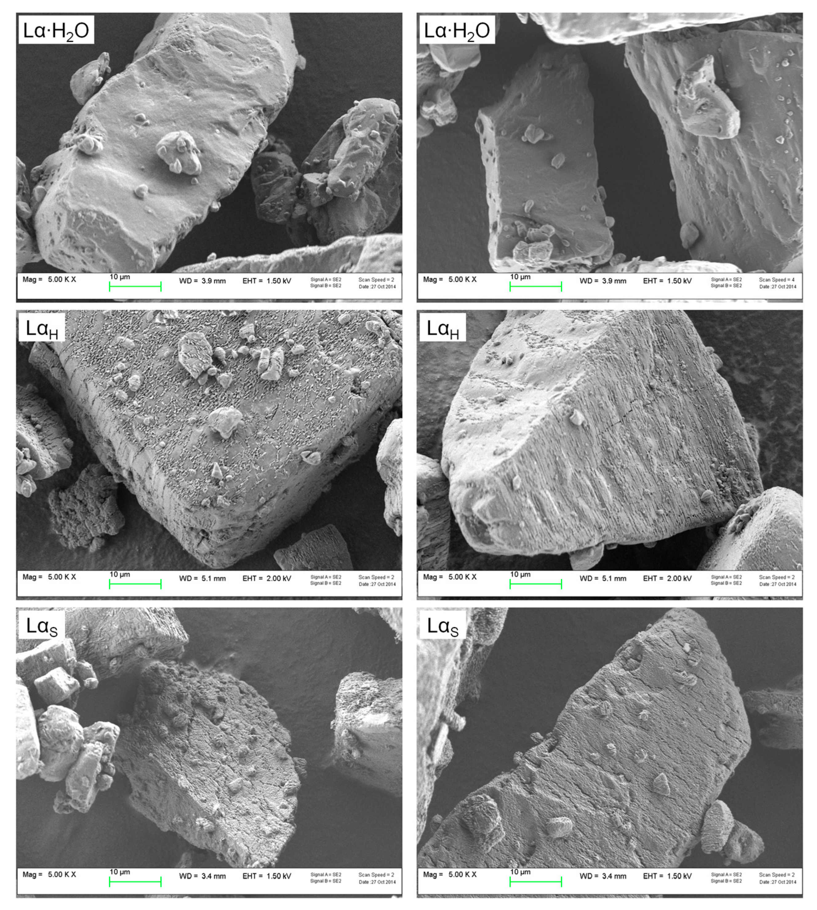 Pharmaceutics 11 00576 g001