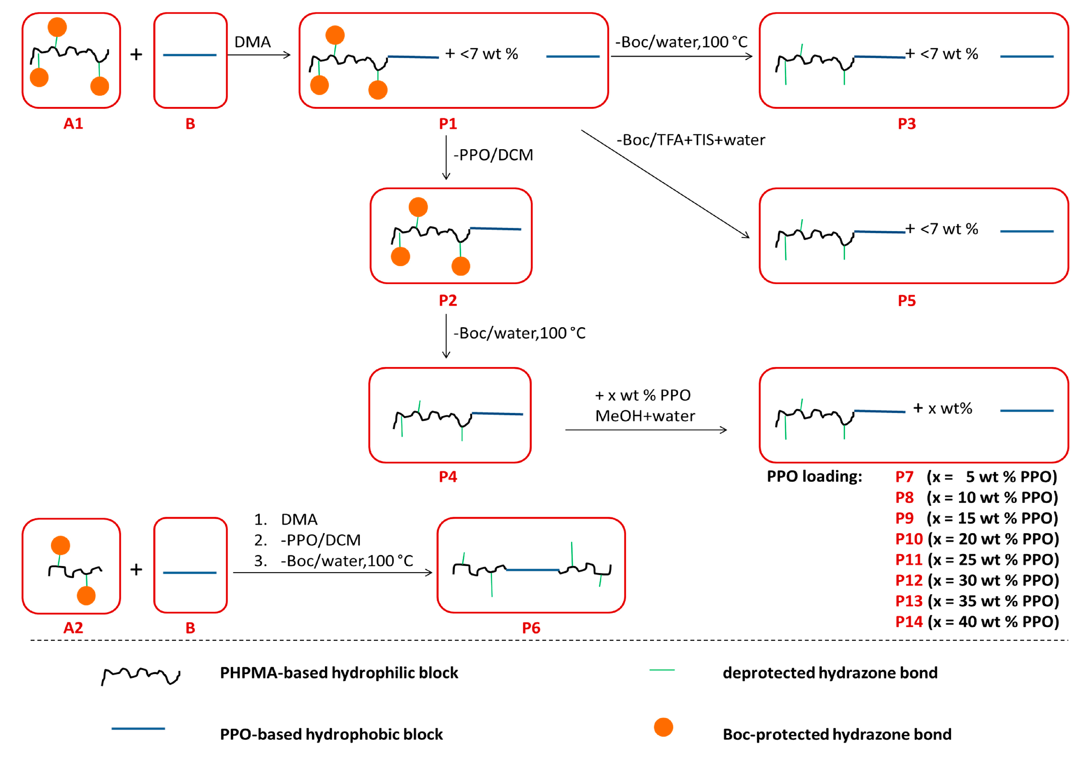 Pharmaceutics 11 00579 sch001