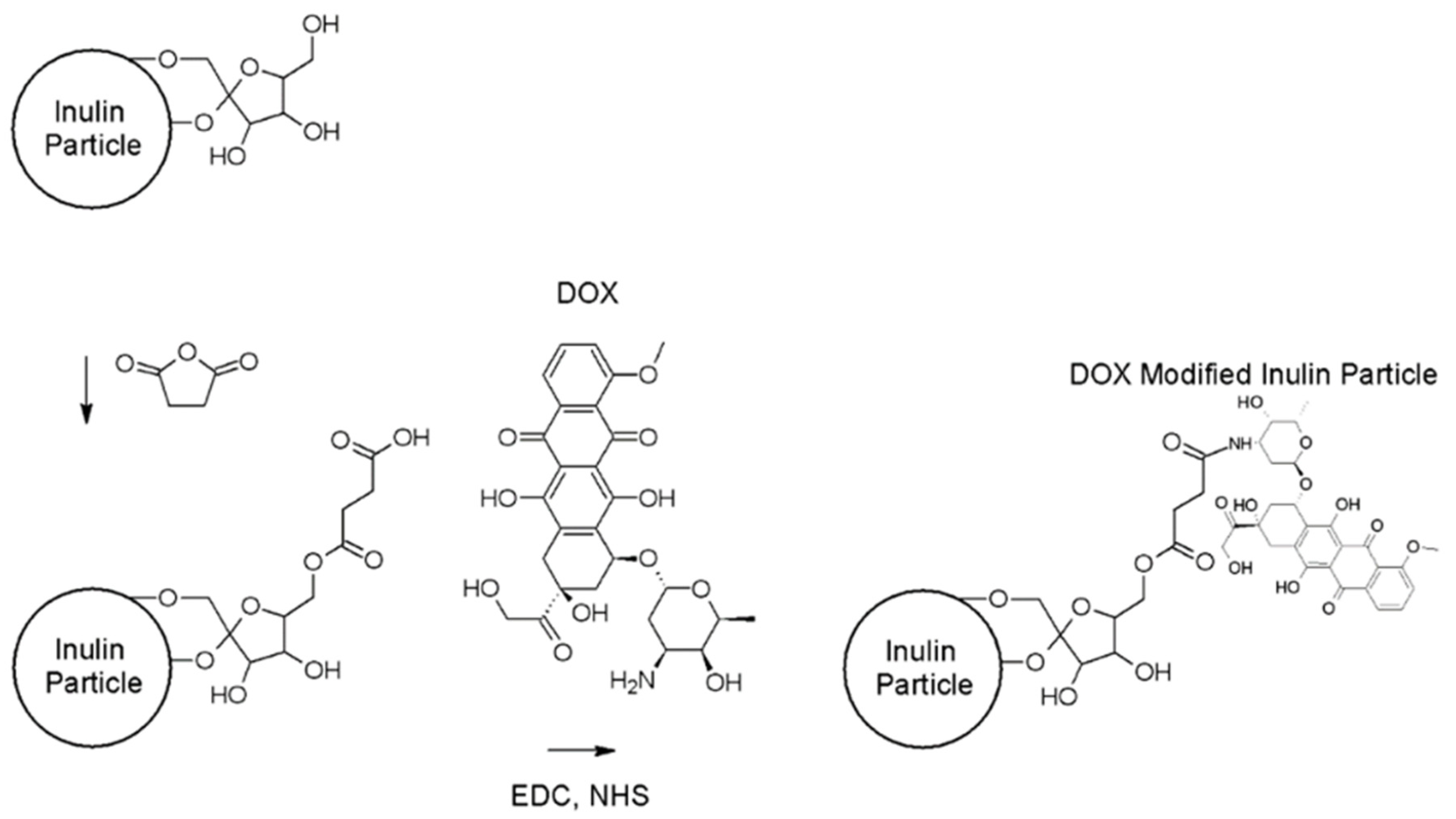 Pharmaceutics 11 00581 g001