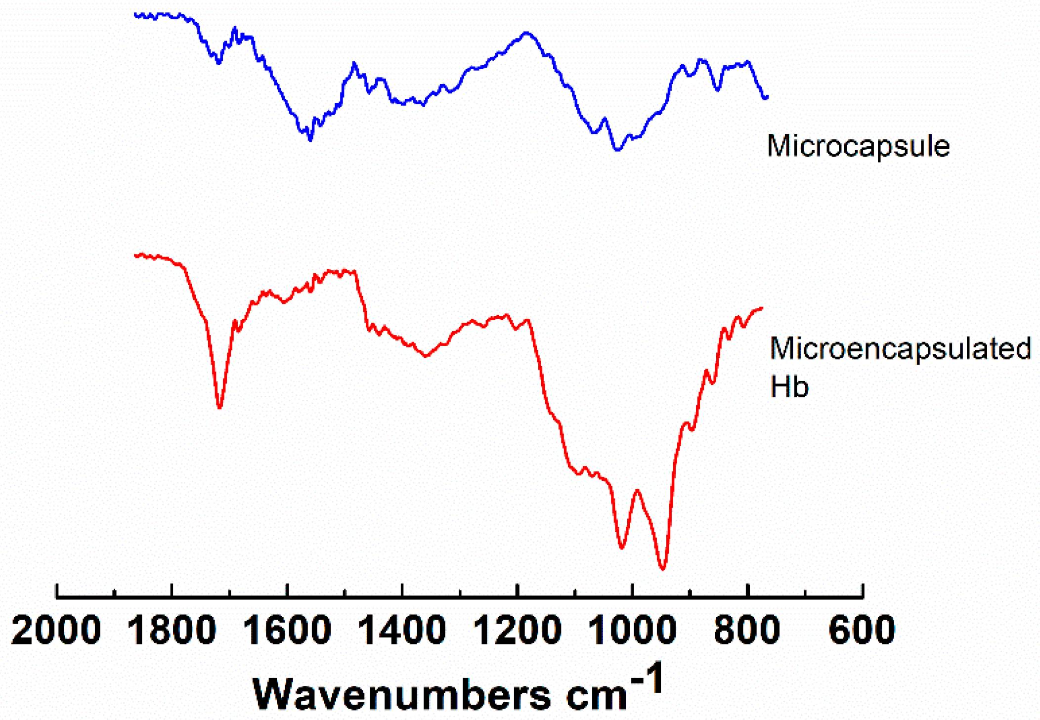 Pharmaceutics 11 00583 g004