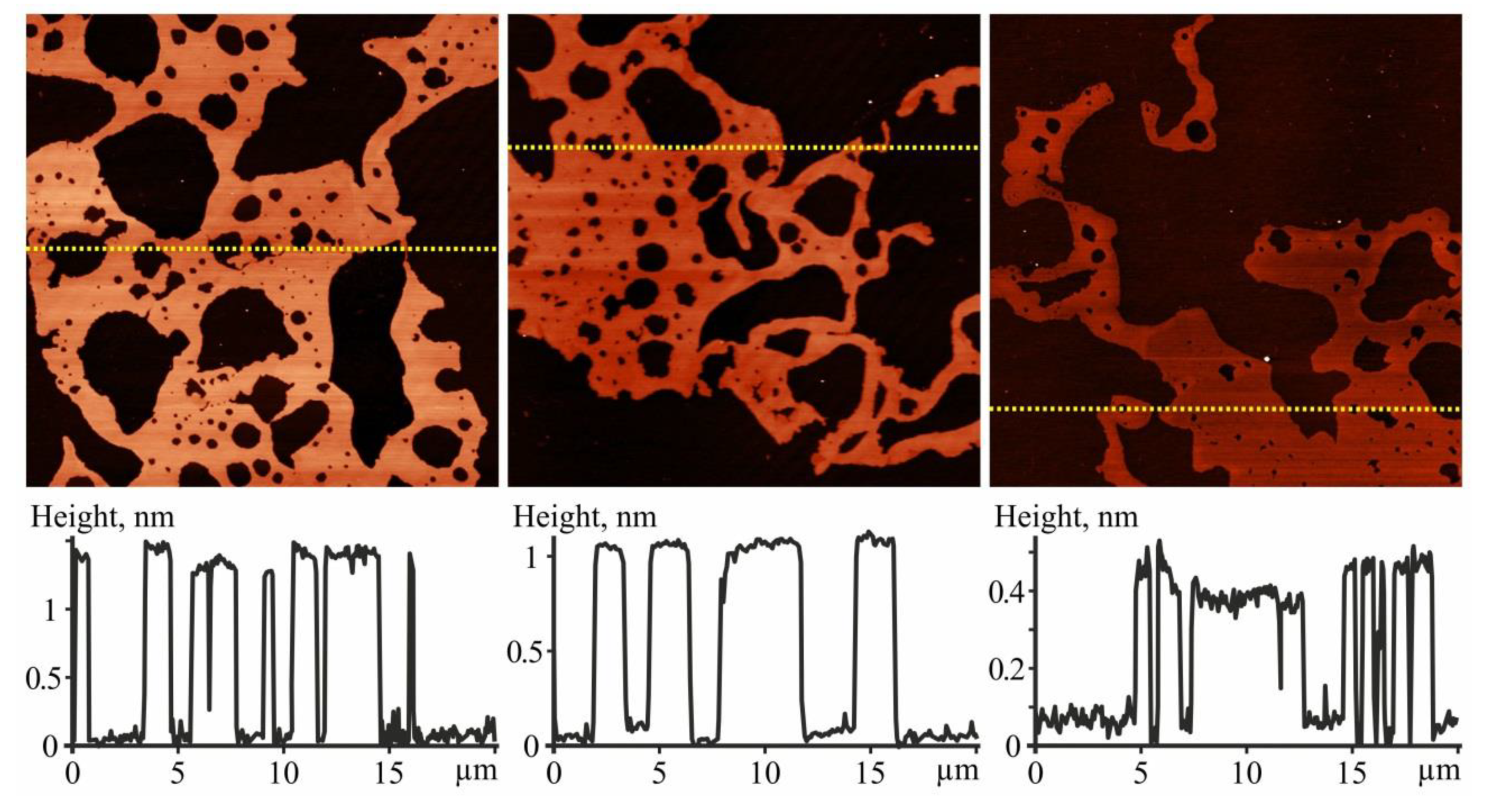 Pharmaceutics 11 00586 g004 Pharmaceutics 11 00586 g004