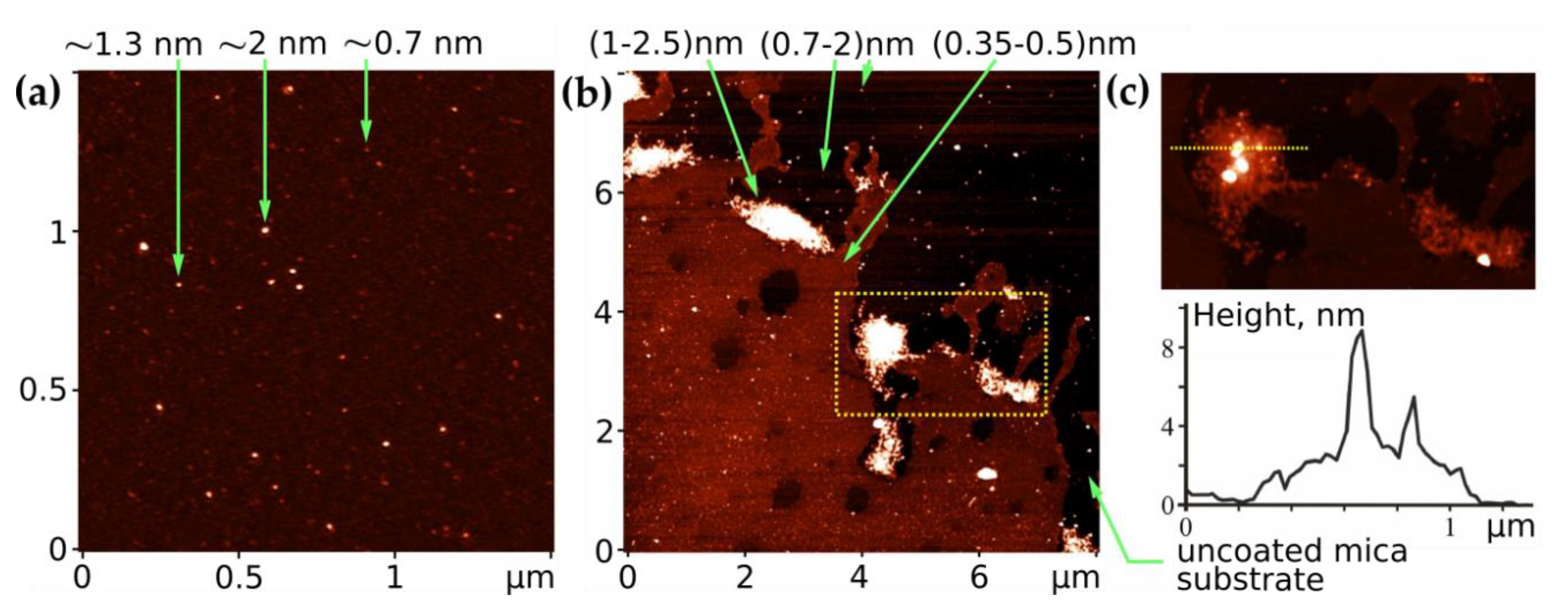 Pharmaceutics 11 00586 g005 Pharmaceutics 11 00586 g005