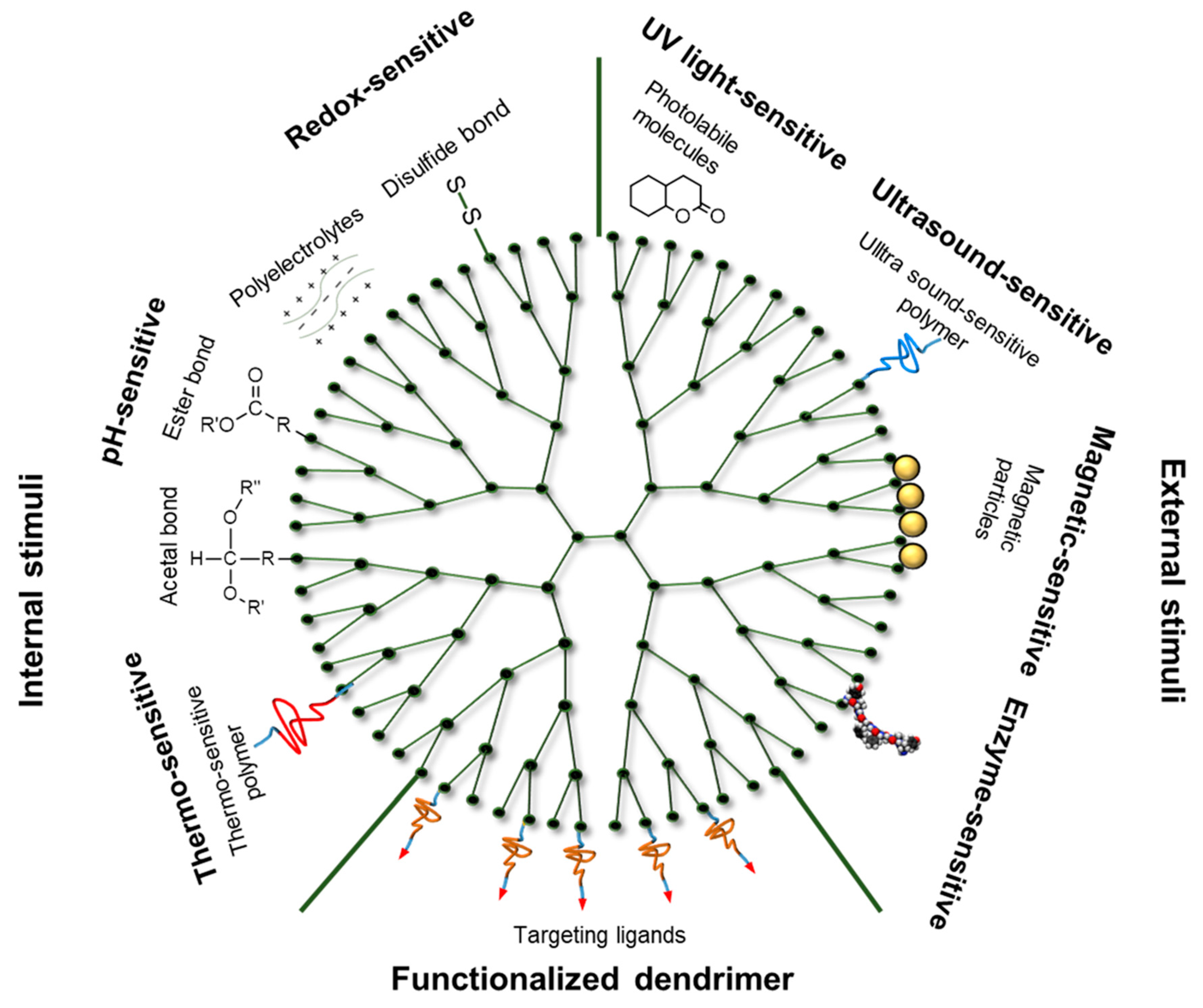 Pharmaceutics 11 00591 g002