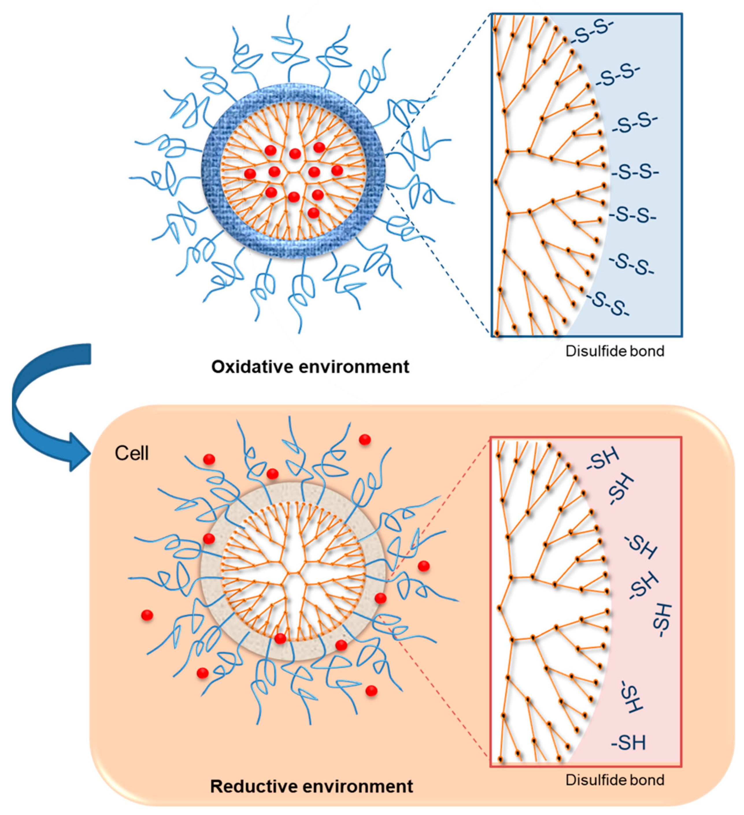 Pharmaceutics 11 00591 g003