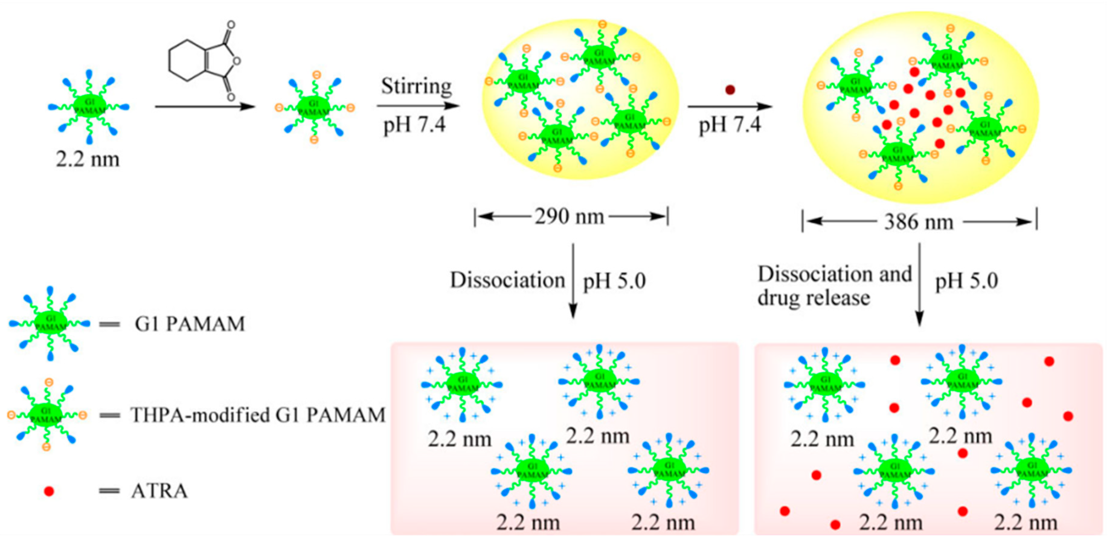 Pharmaceutics 11 00591 g004