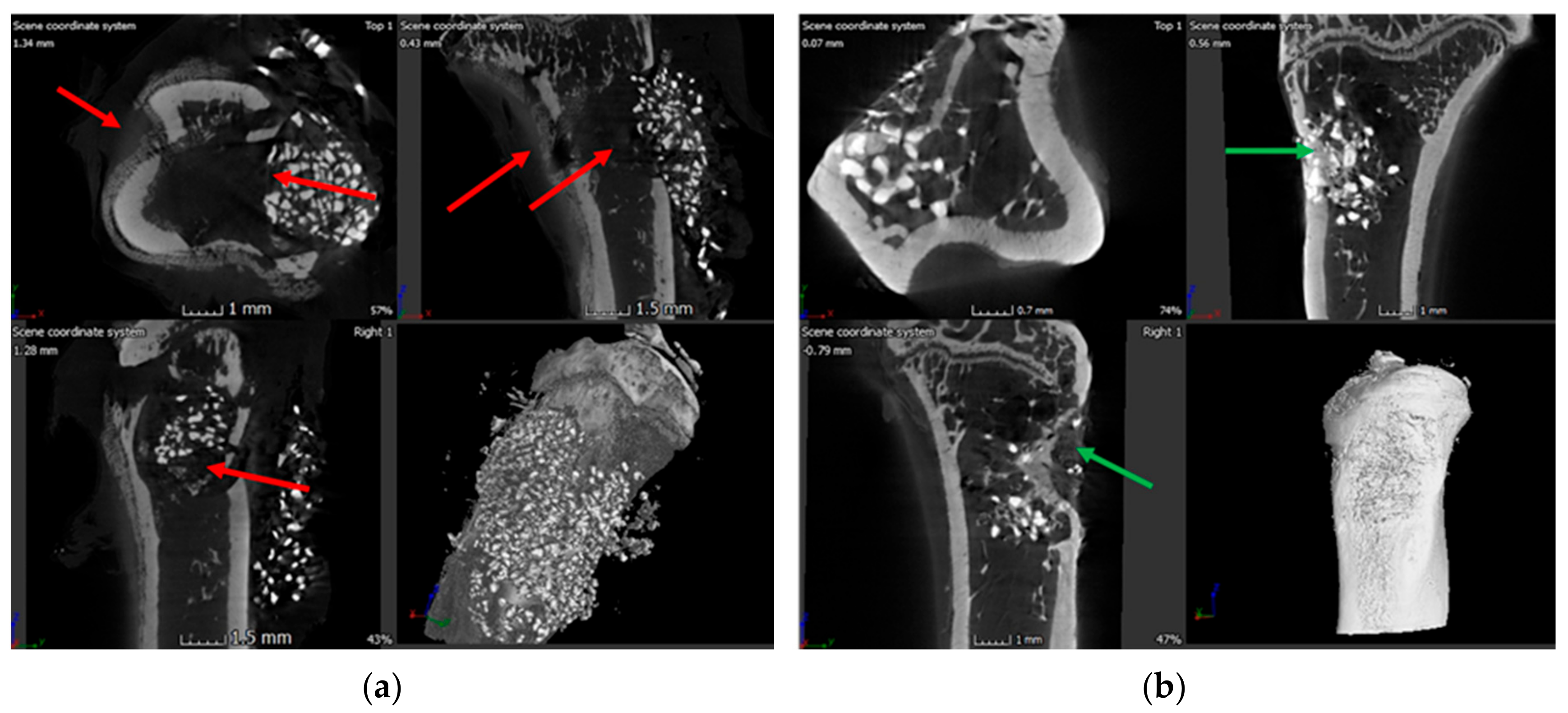Pharmaceutics 11 00592 g006a