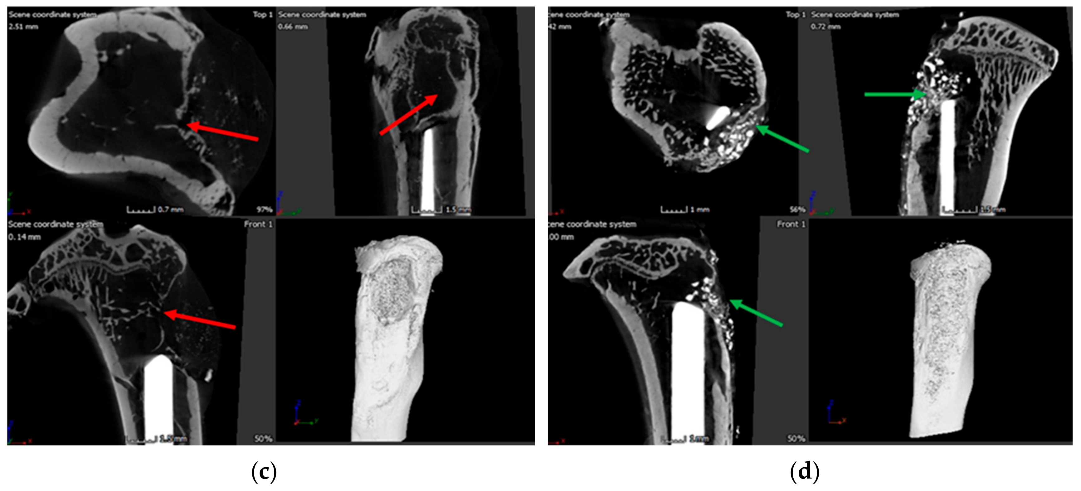 Pharmaceutics 11 00592 g006b