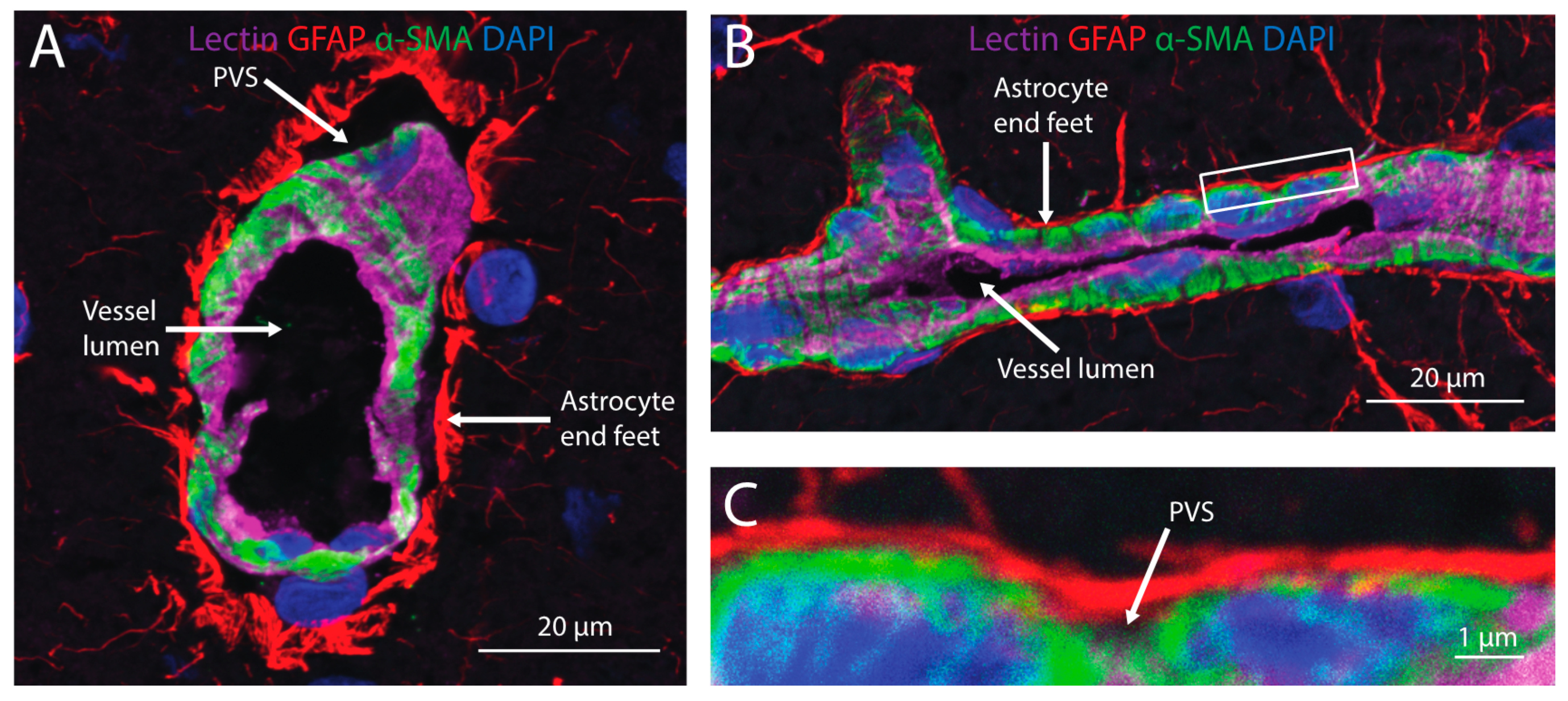 Pharmaceutics 11 00598 g003 Pharmaceutics 11 00598 g003