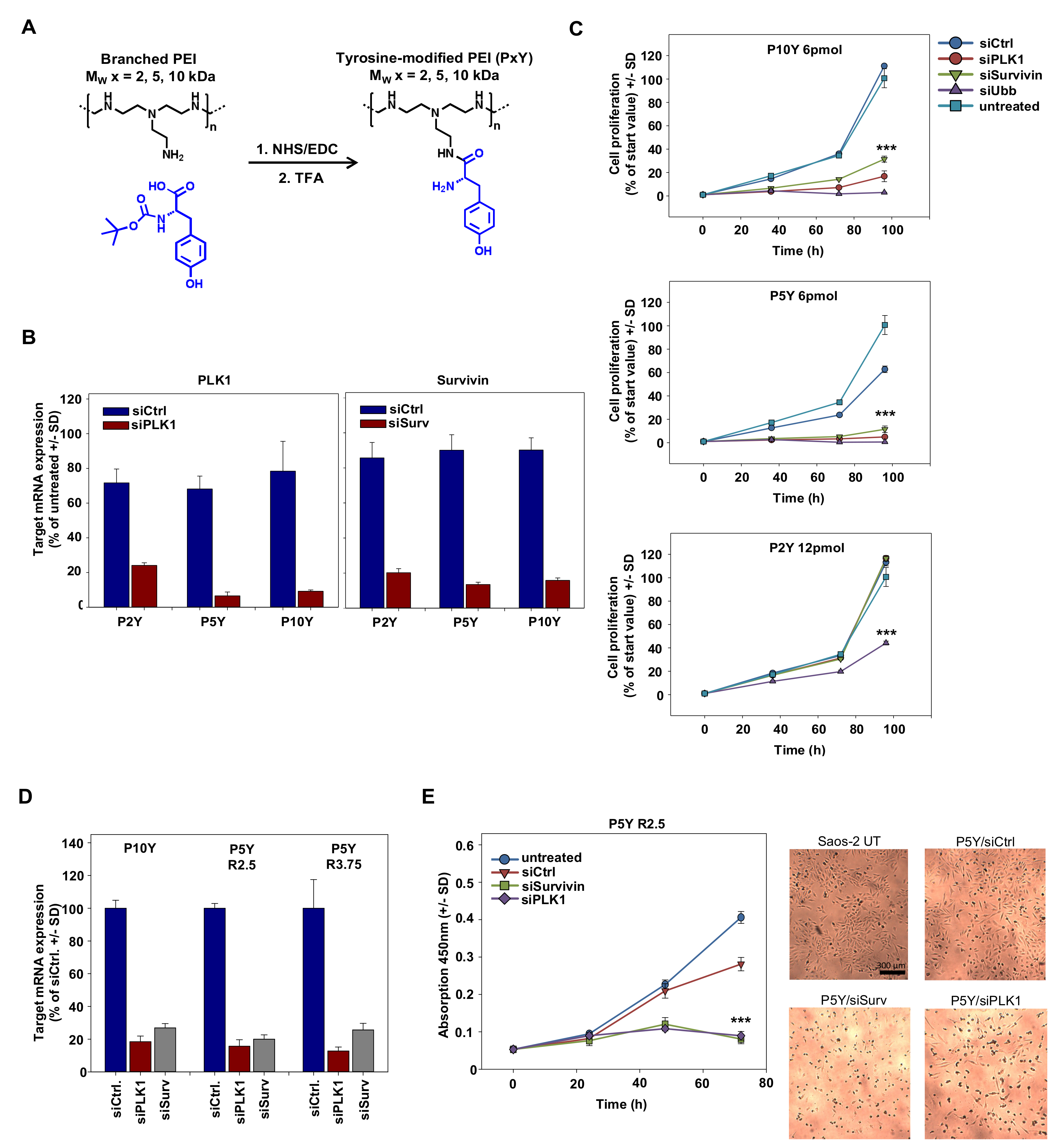 Pharmaceutics 11 00600 g001 Pharmaceutics 11 00600 g001