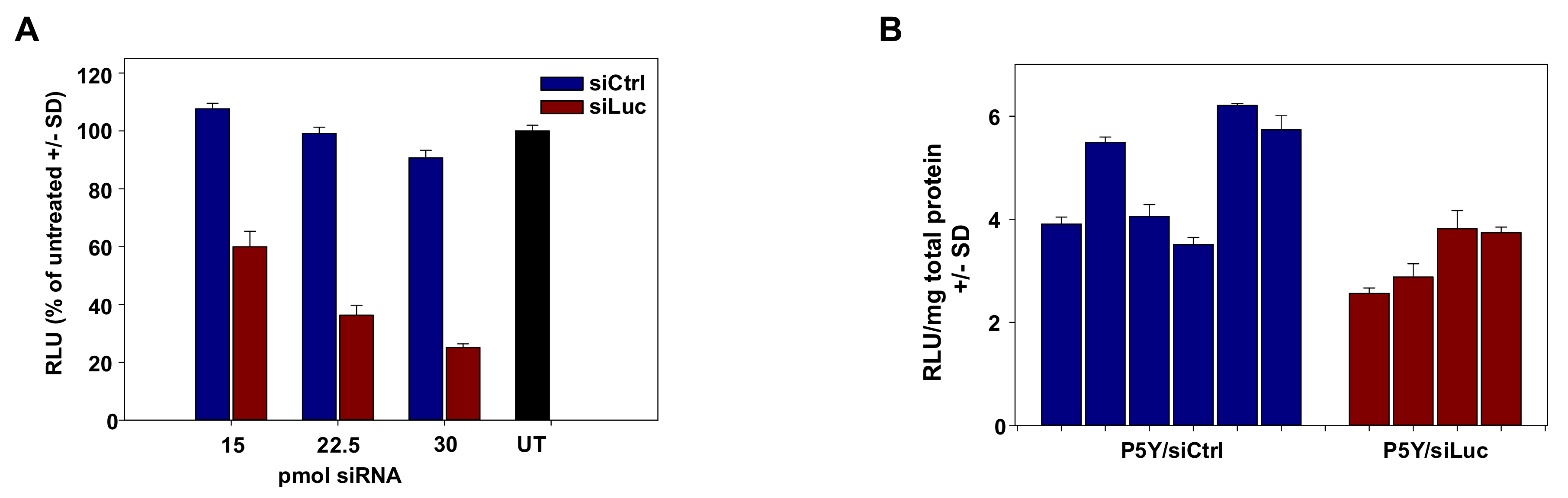 Pharmaceutics 11 00600 g004 Pharmaceutics 11 00600 g004