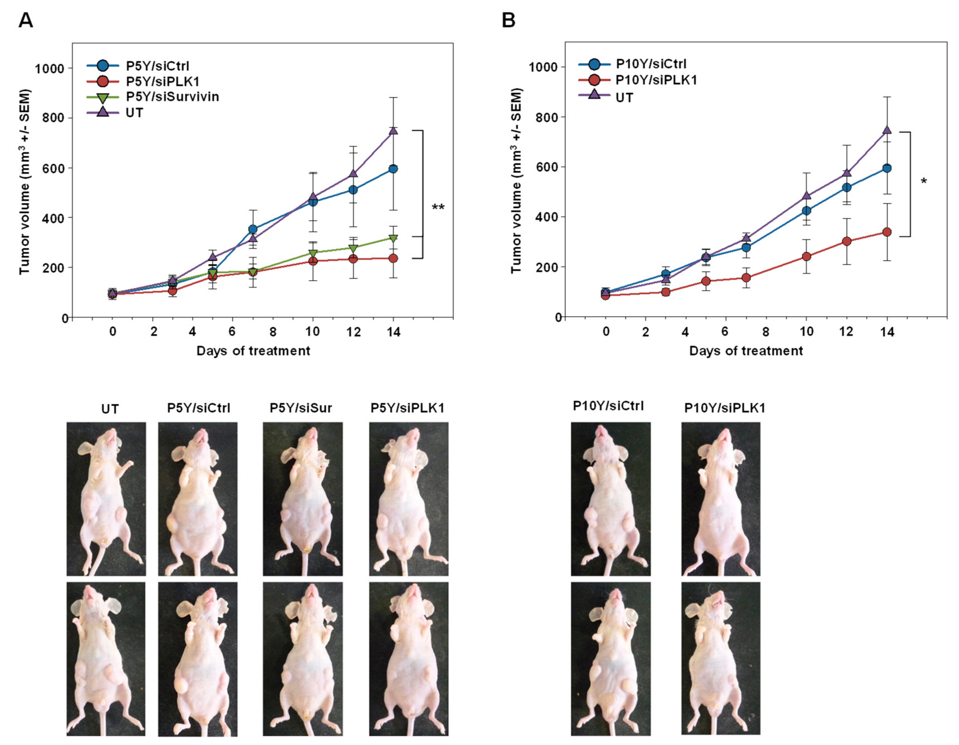 Pharmaceutics 11 00600 g005 Pharmaceutics 11 00600 g005