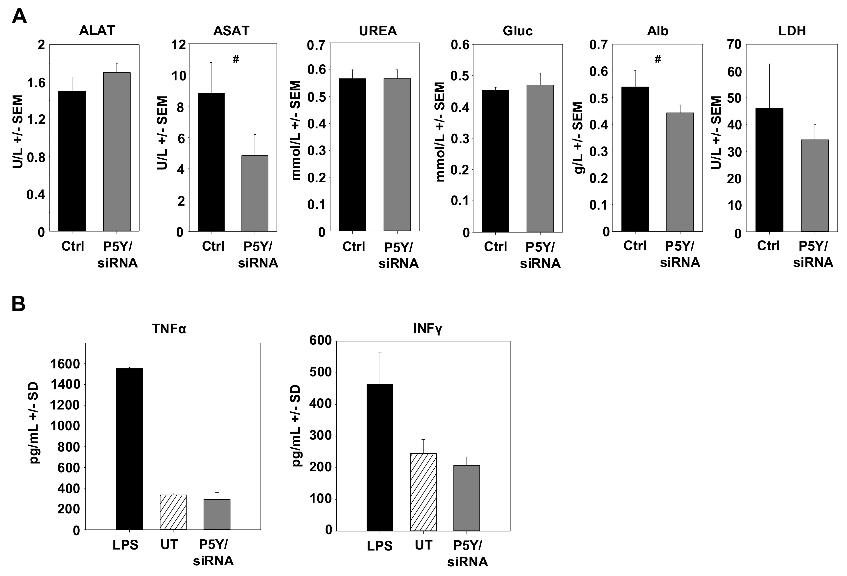 Pharmaceutics 11 00600 g006 Pharmaceutics 11 00600 g006