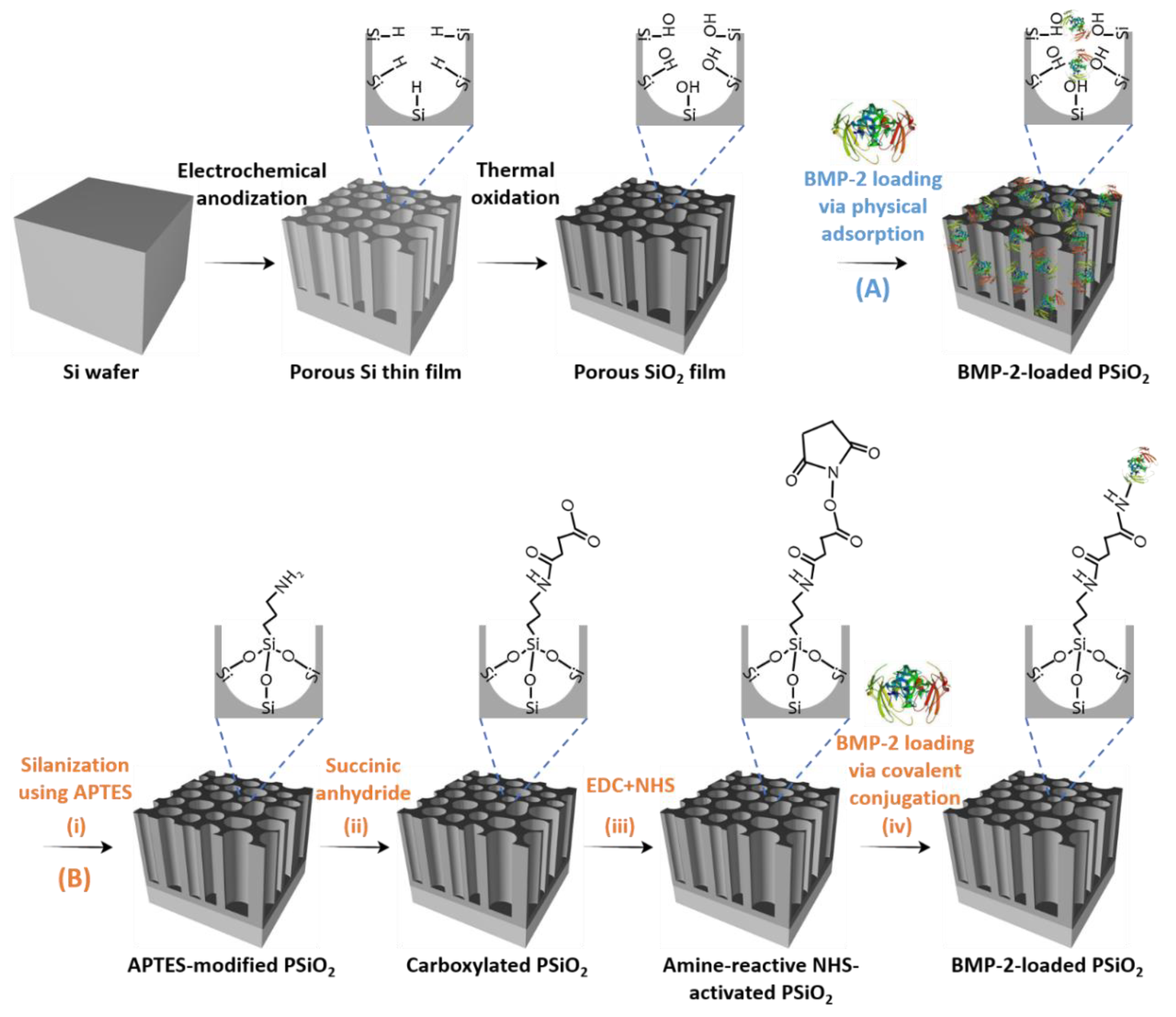 Pharmaceutics 11 00602 g001 Pharmaceutics 11 00602 g001