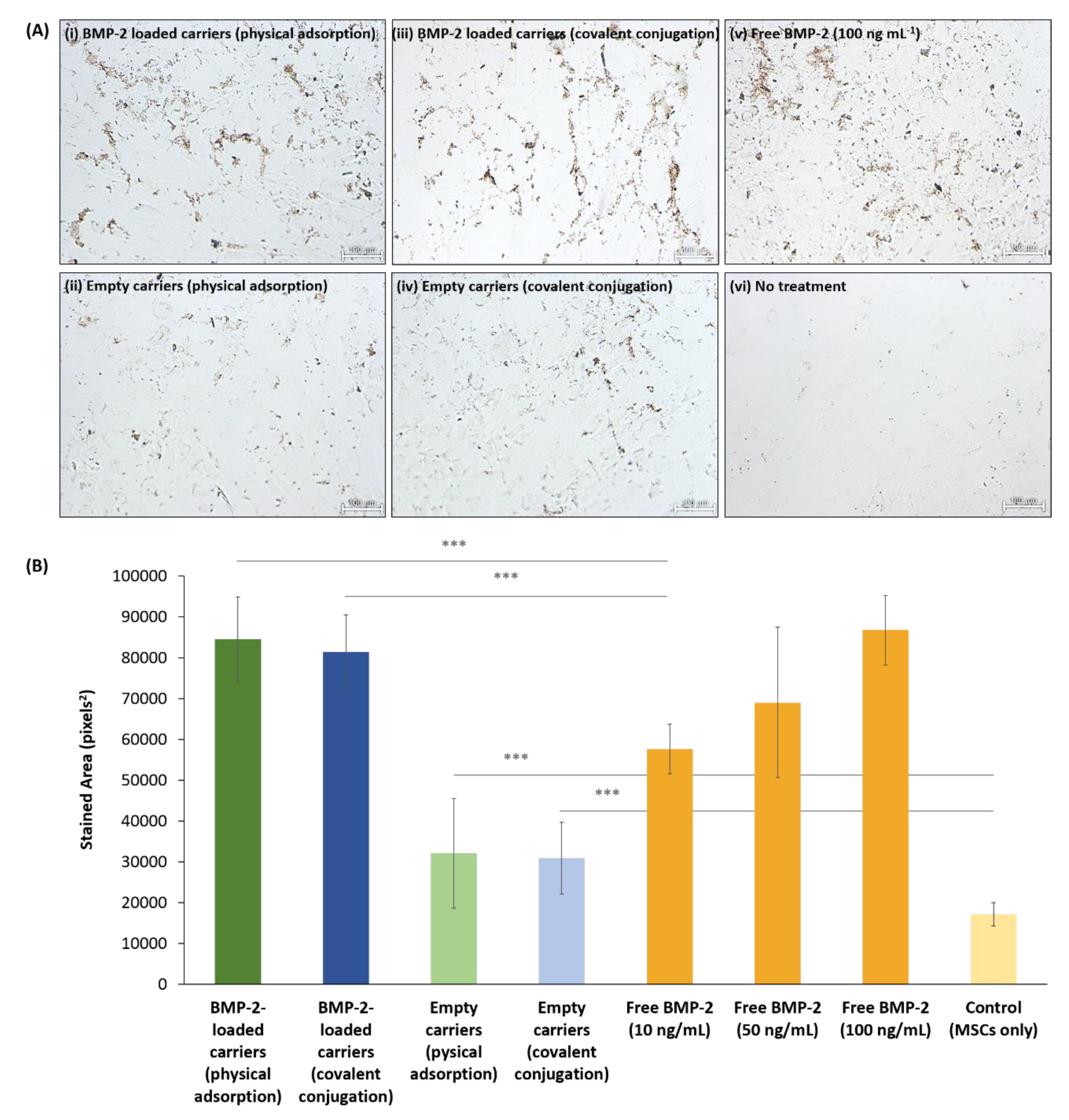 Pharmaceutics 11 00602 g005 Pharmaceutics 11 00602 g005