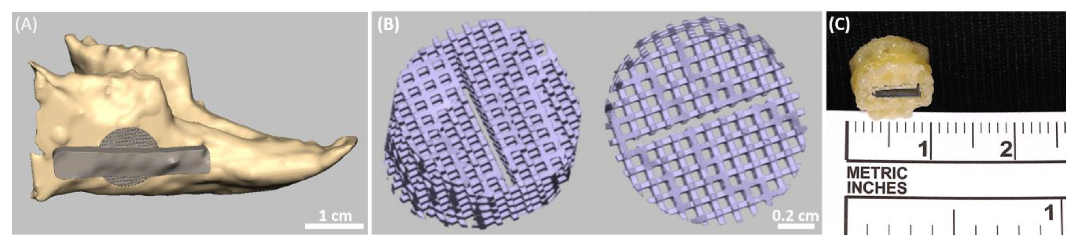 Pharmaceutics 11 00602 g006 Pharmaceutics 11 00602 g006