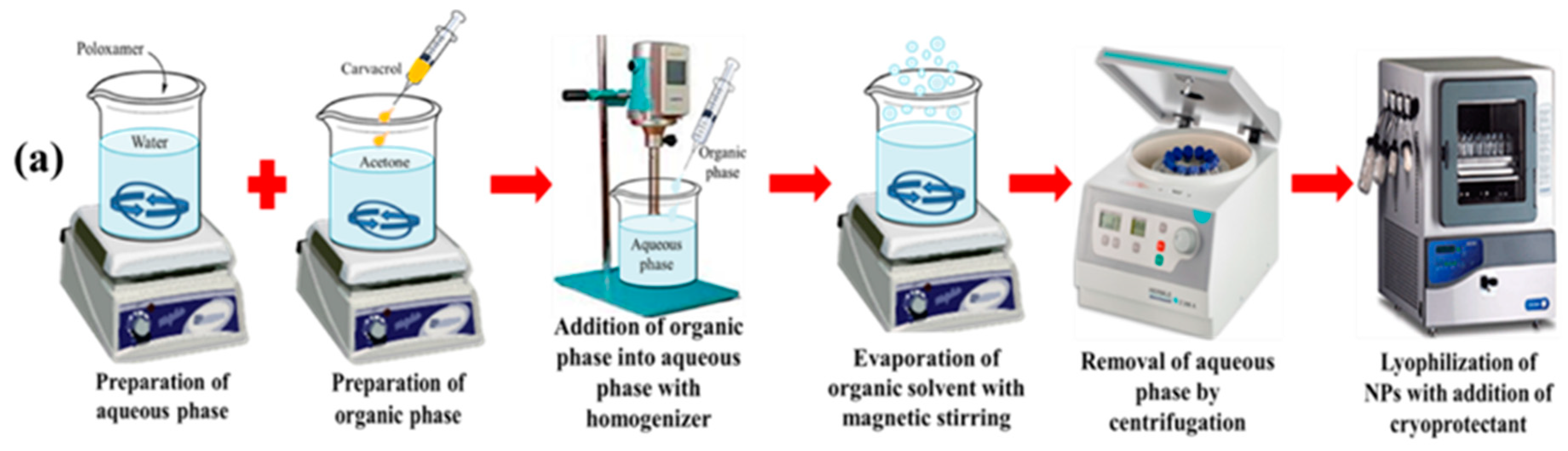 Pharmaceutics 11 00606 g001a